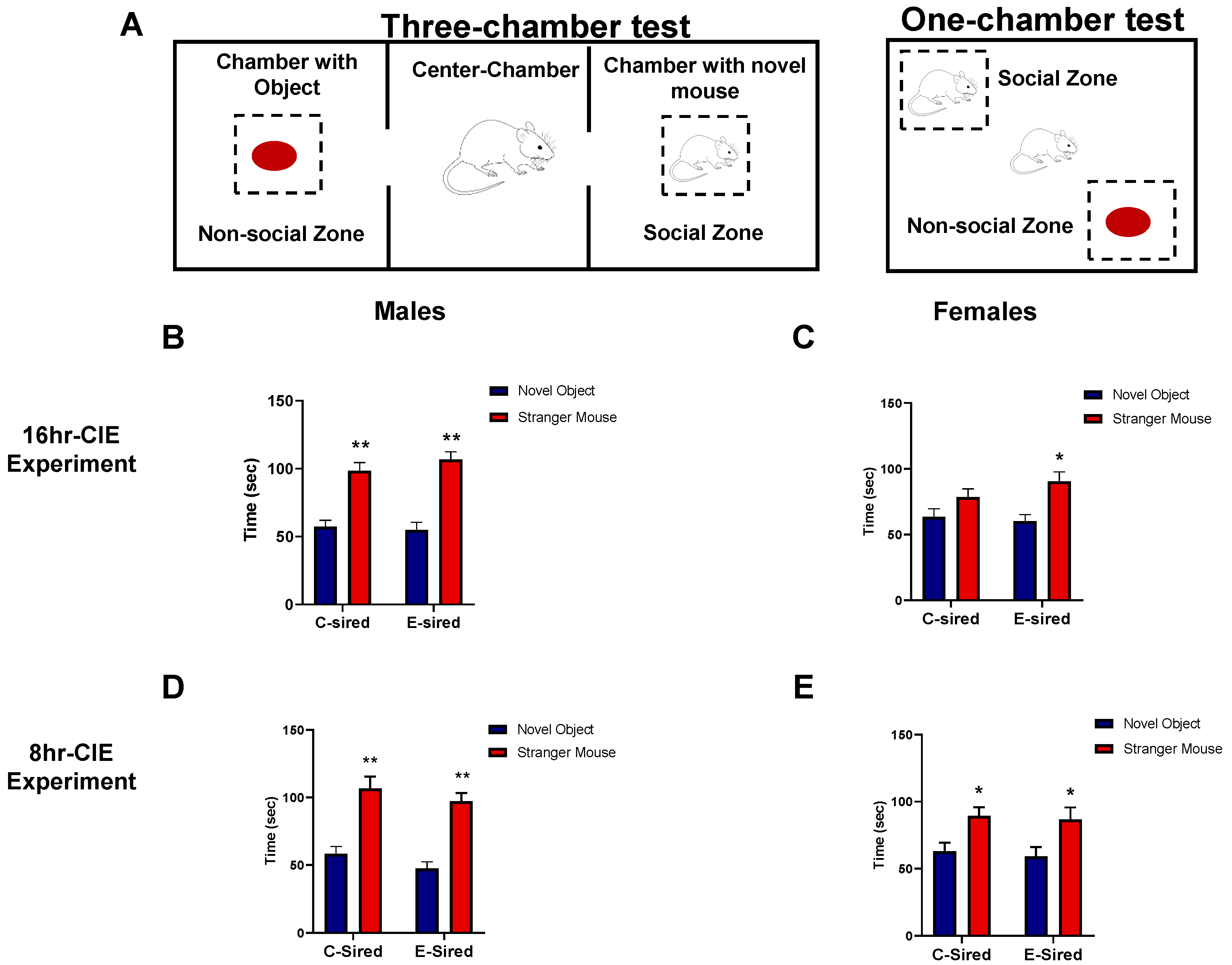 Brainsci 10 00658 g006 Brainsci 10 00658 g006