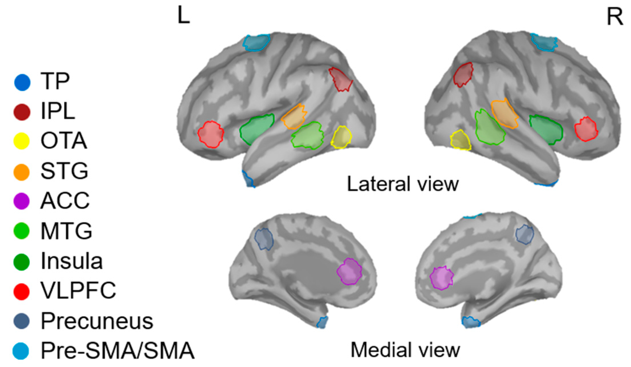 Brainsci 10 00667 g001