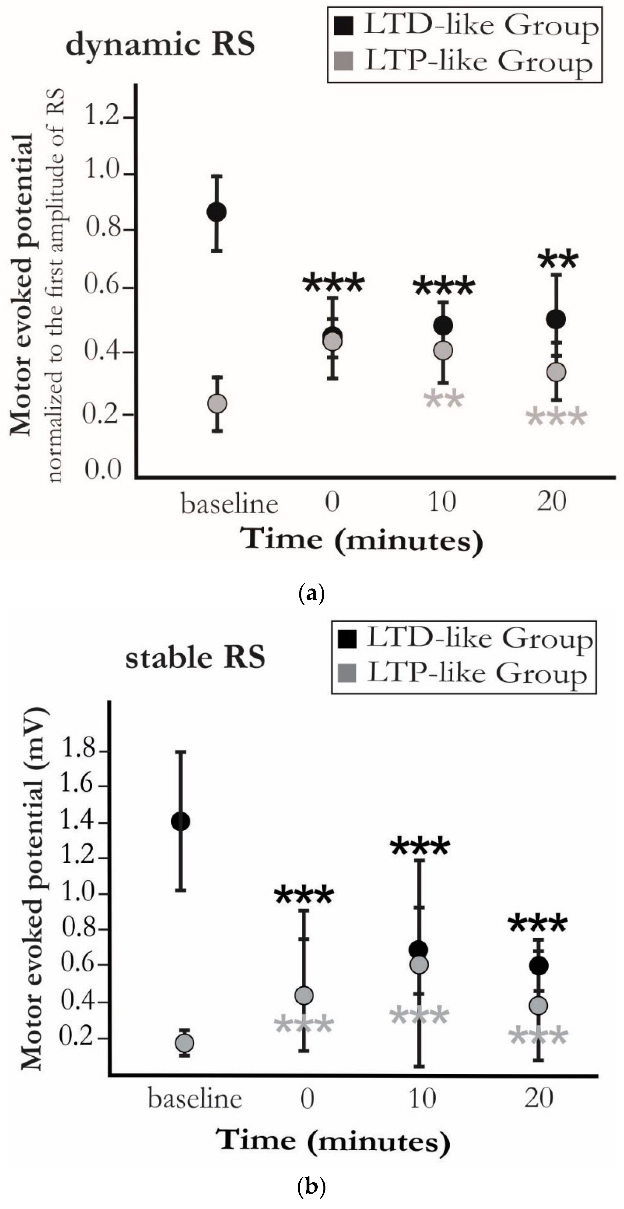 Brainsci 10 00674 g002