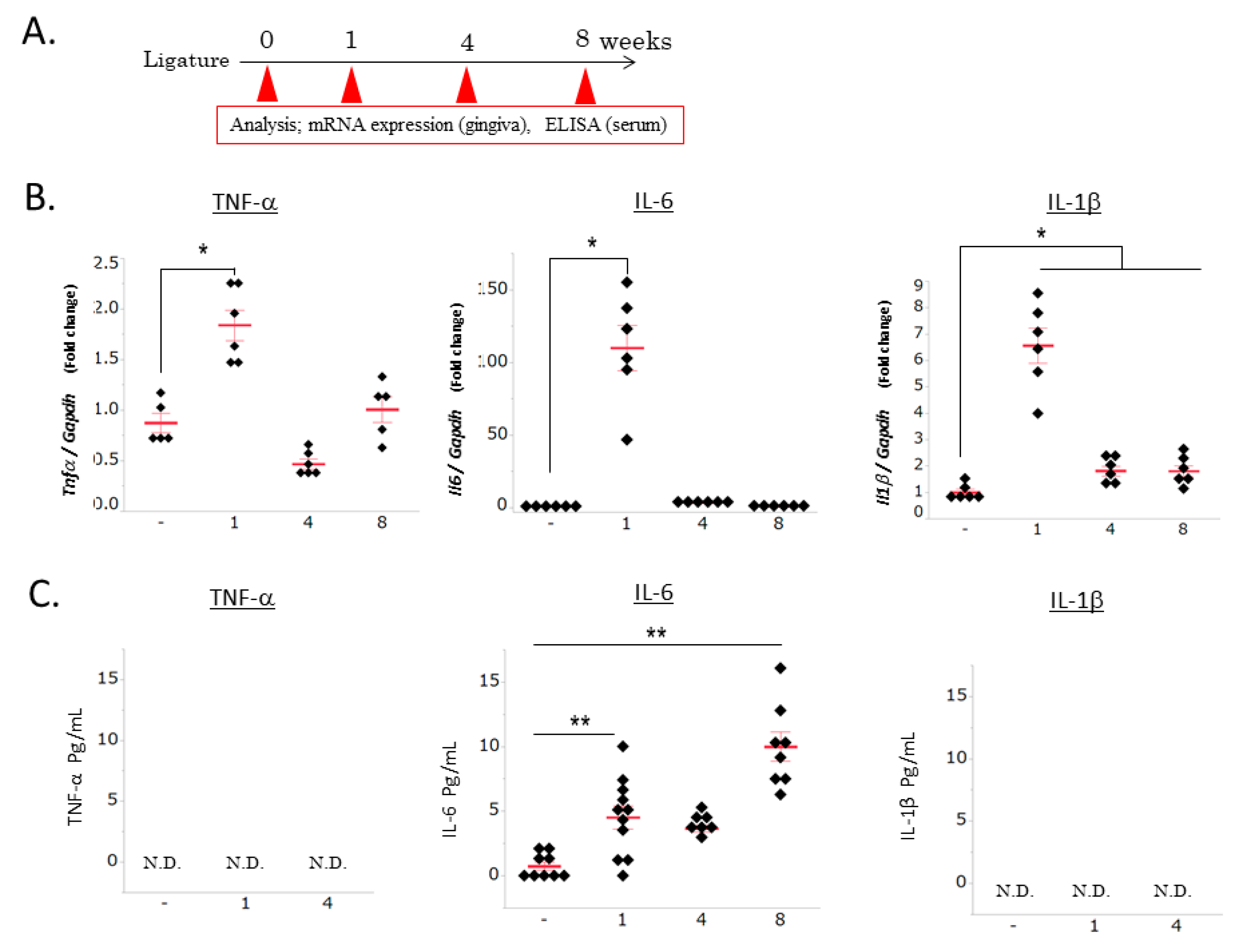 Brainsci 10 00679 g001