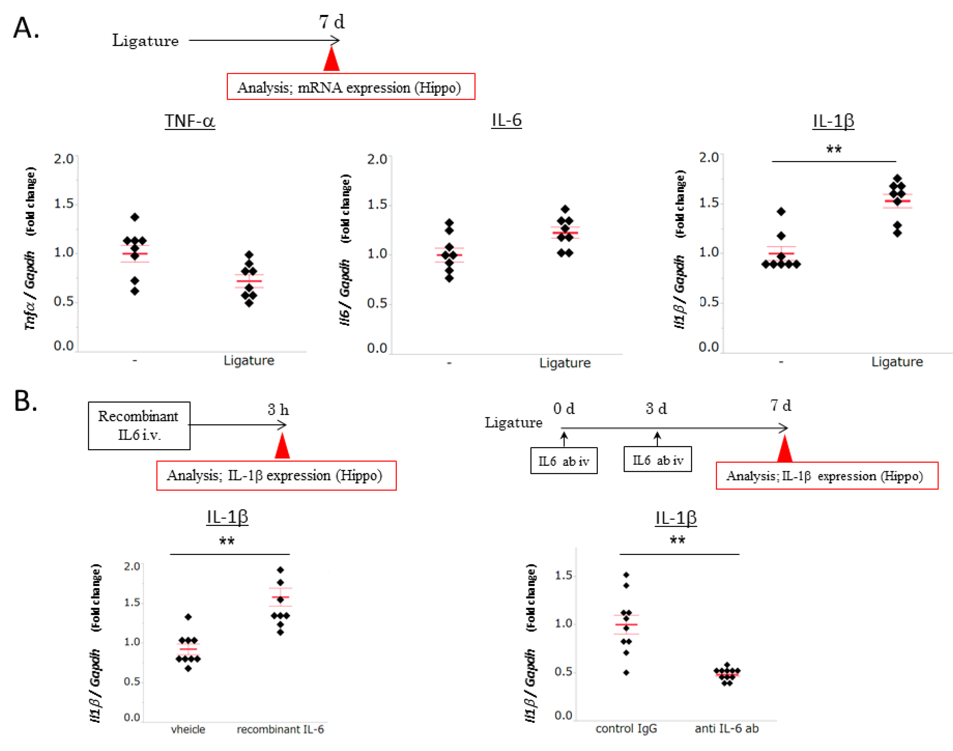 Brainsci 10 00679 g002