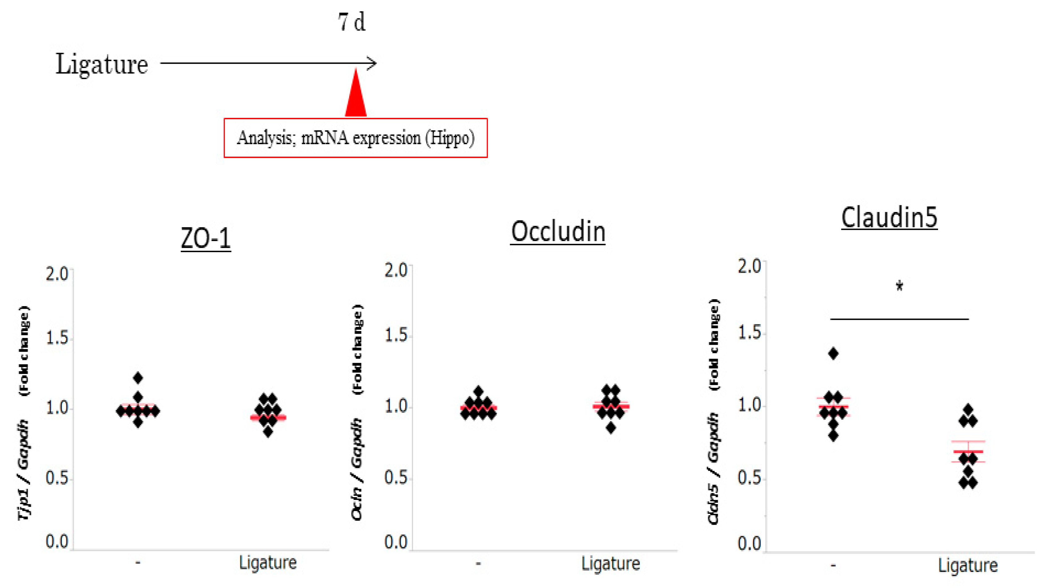 Brainsci 10 00679 g003