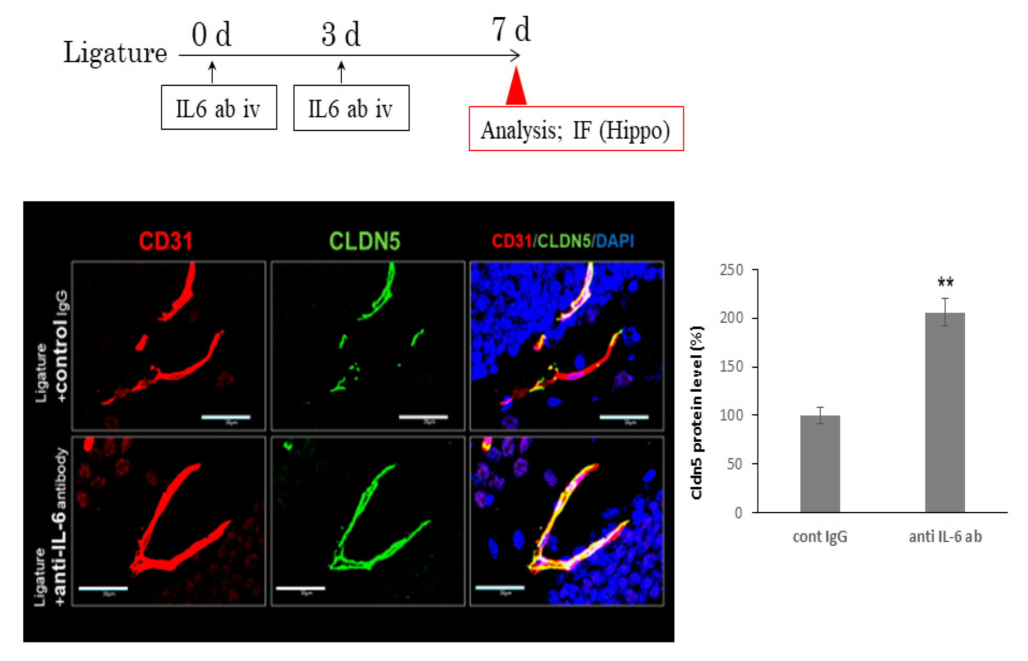 Brainsci 10 00679 g005