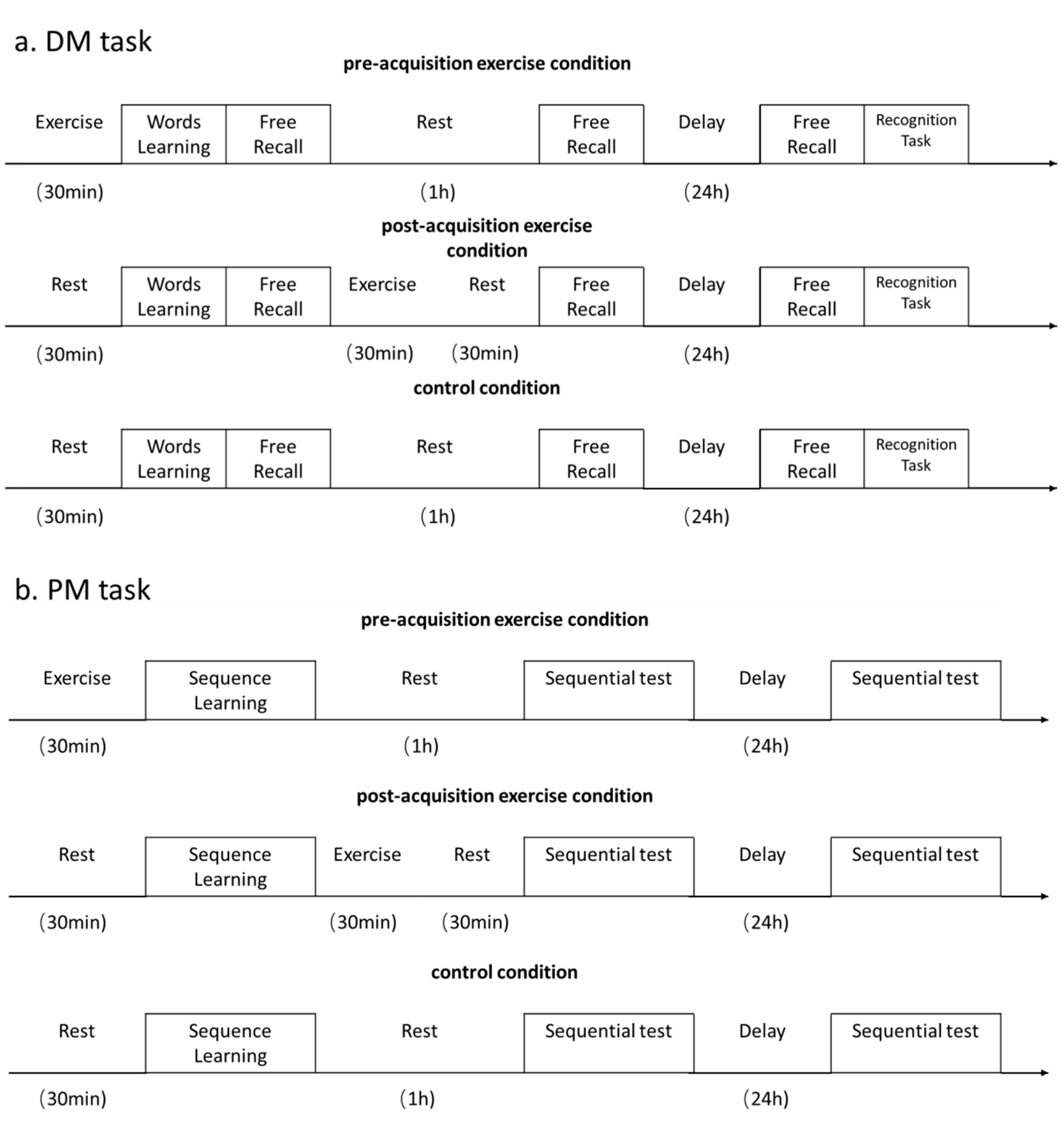 Brainsci 10 00691 g002