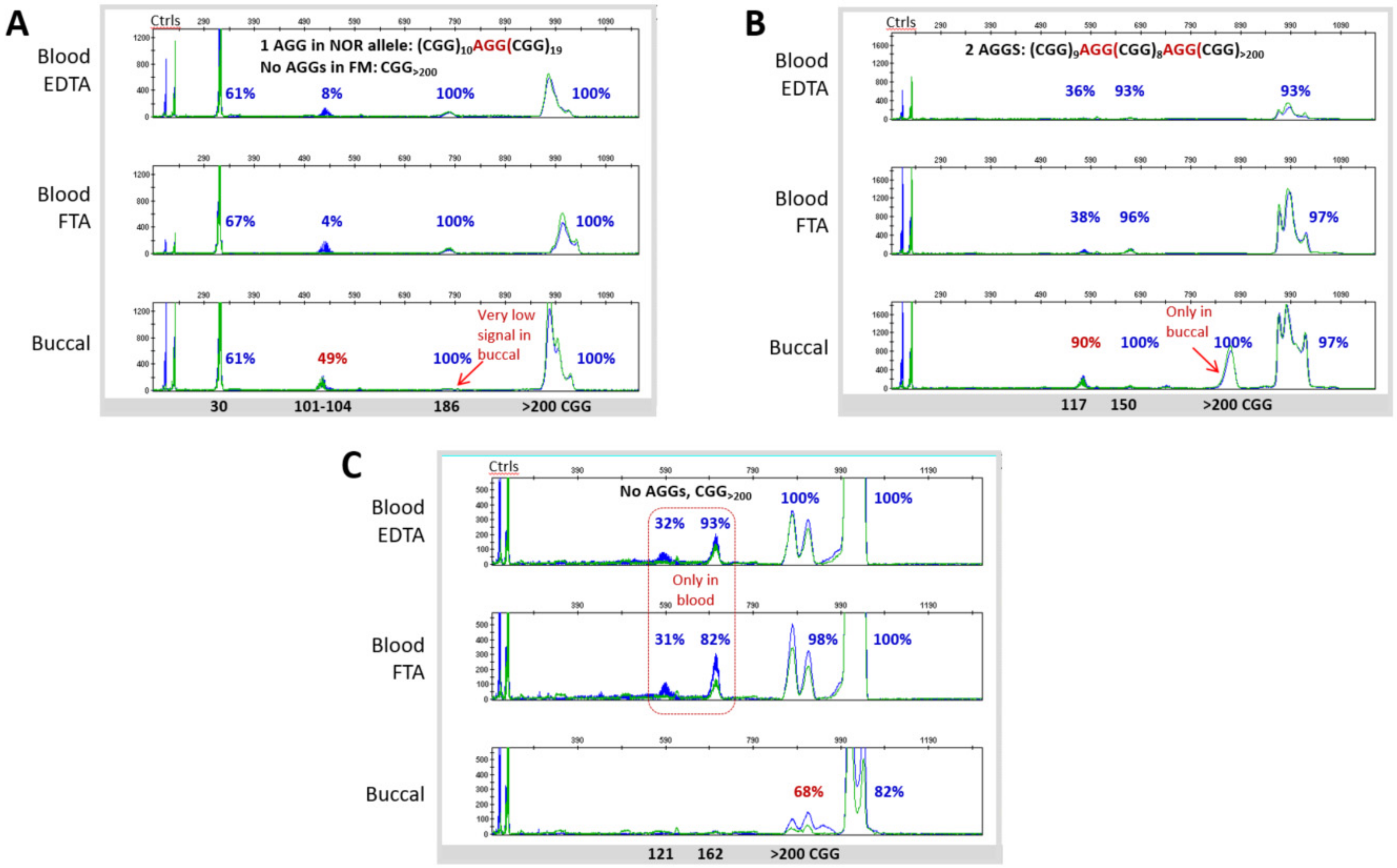 Brainsci 10 00694 g004