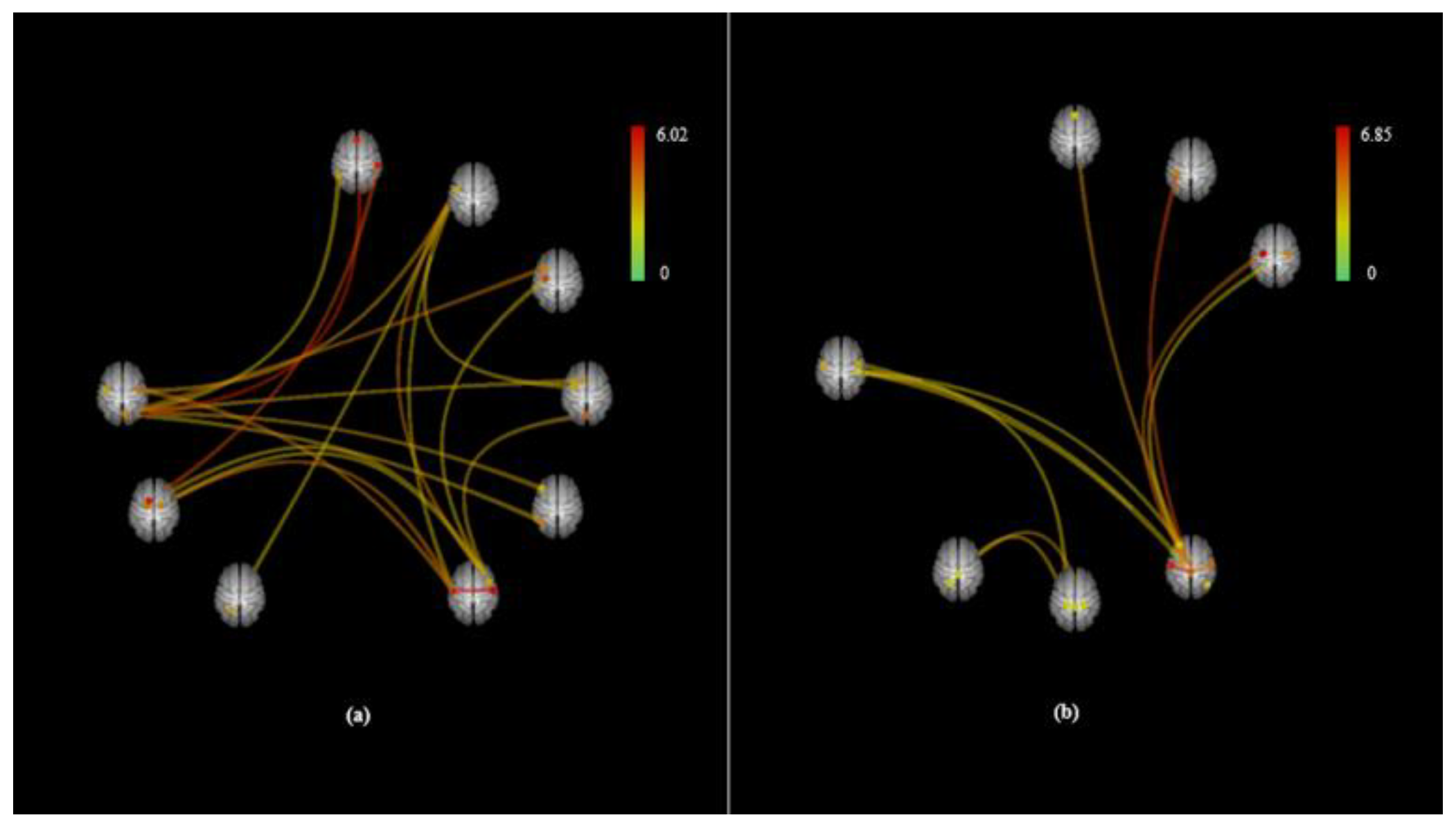 Brainsci 10 00704 g001 Brainsci 10 00704 g001