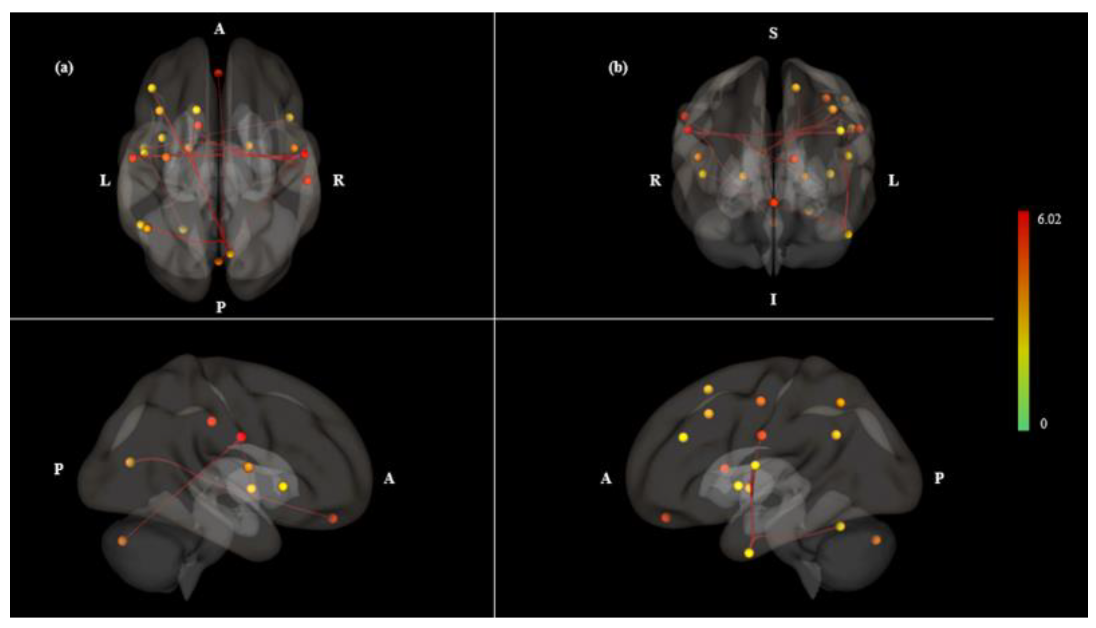 Brainsci 10 00704 g002 Brainsci 10 00704 g002