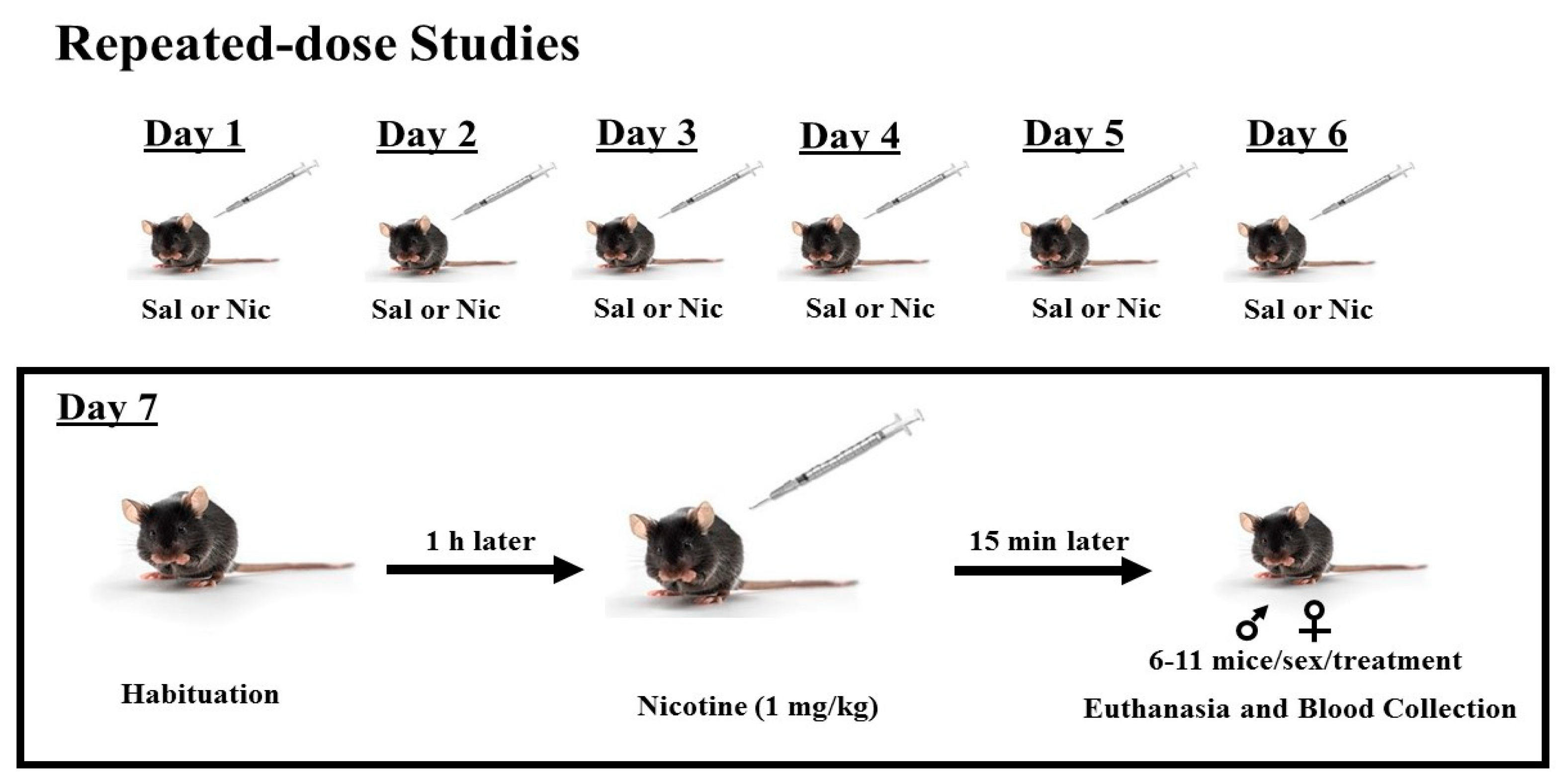 Brainsci 10 00705 sch002