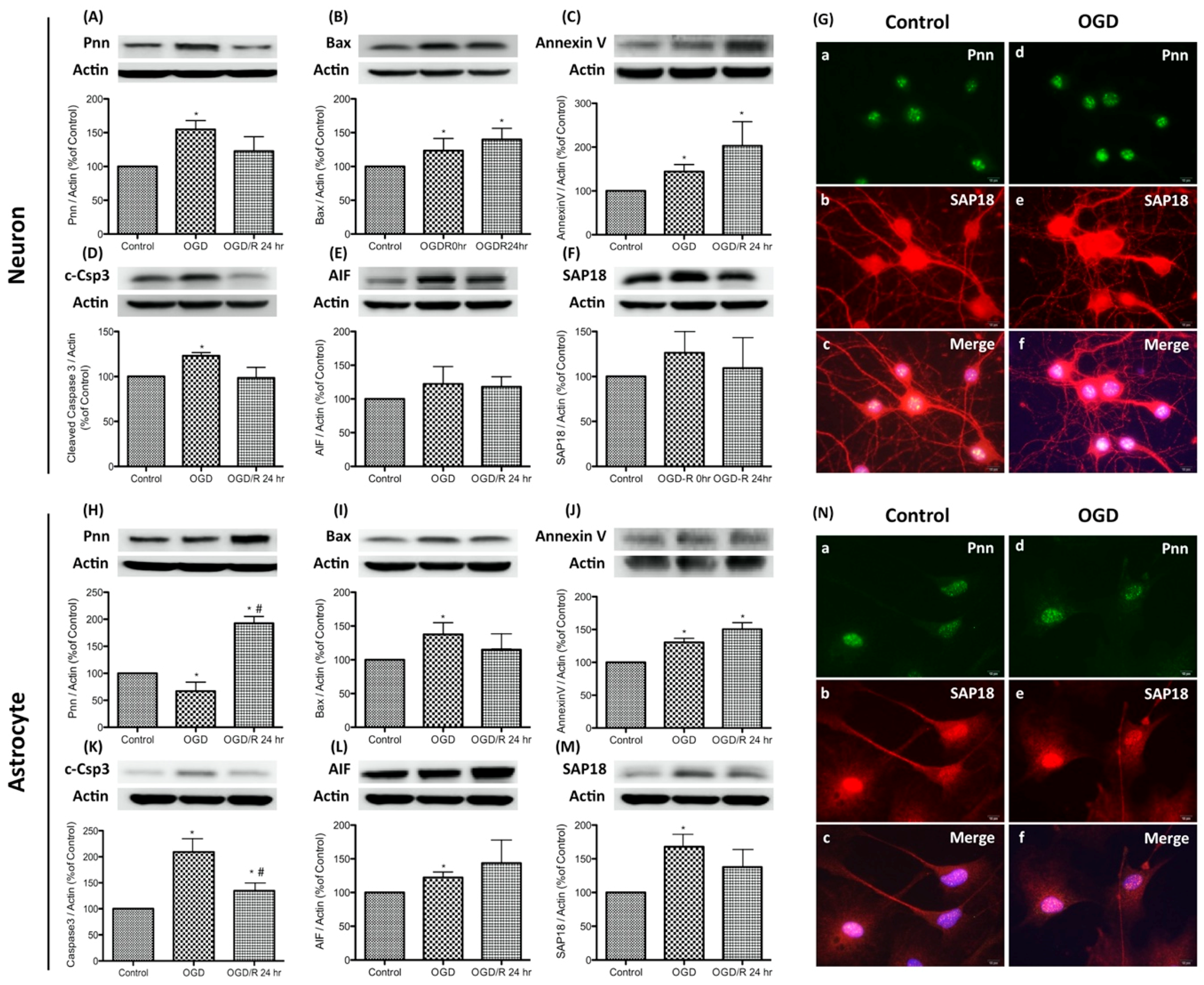 Brainsci 10 00708 g001