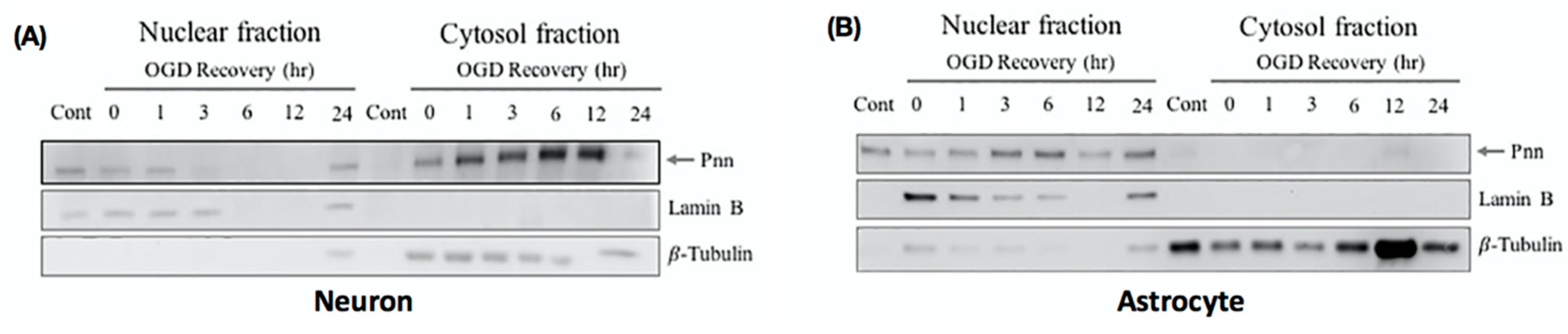 Brainsci 10 00708 g003