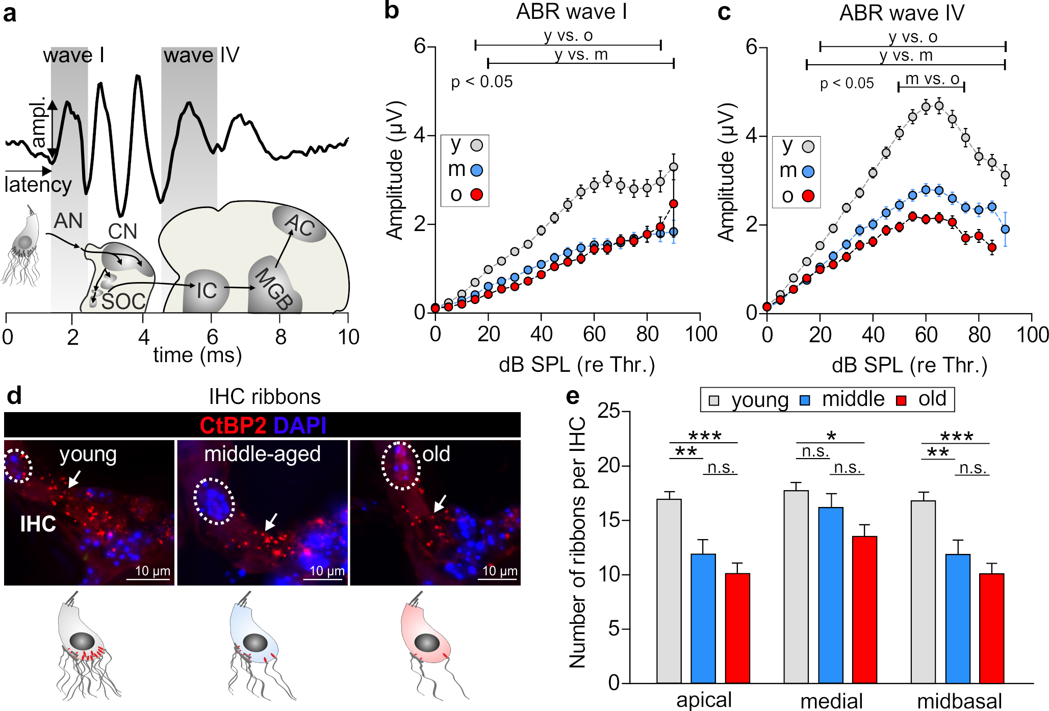 Brainsci 10 00710 g002