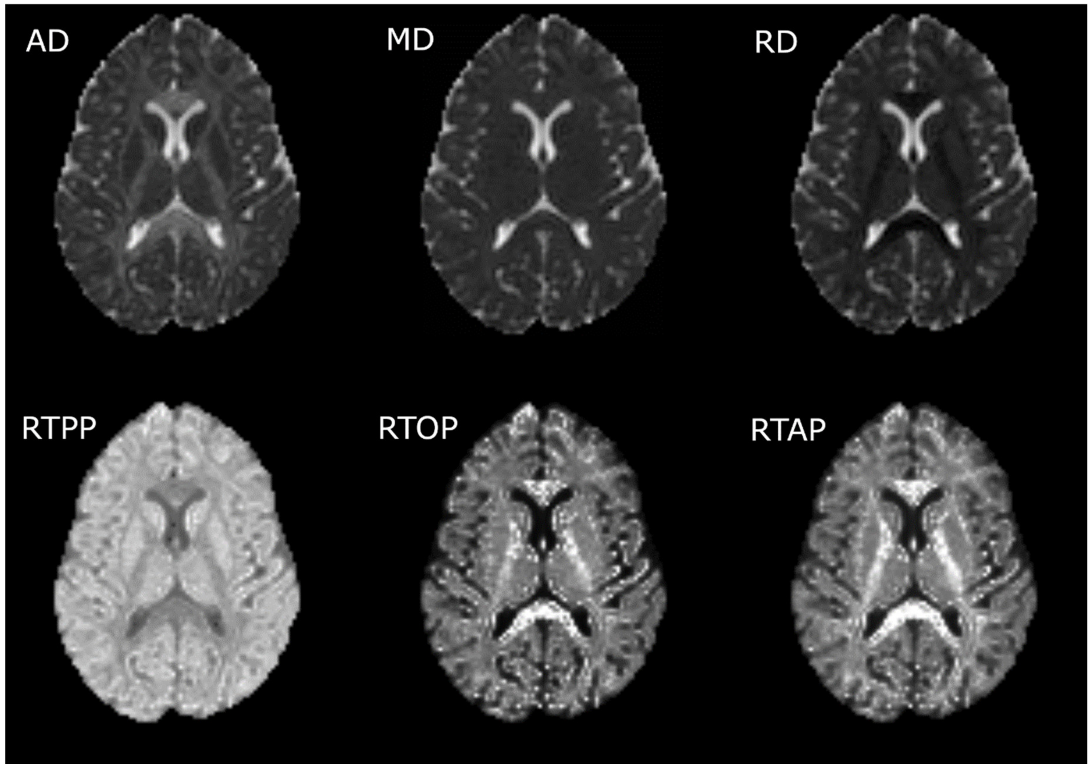 Brainsci 10 00711 g001 Brainsci 10 00711 g001