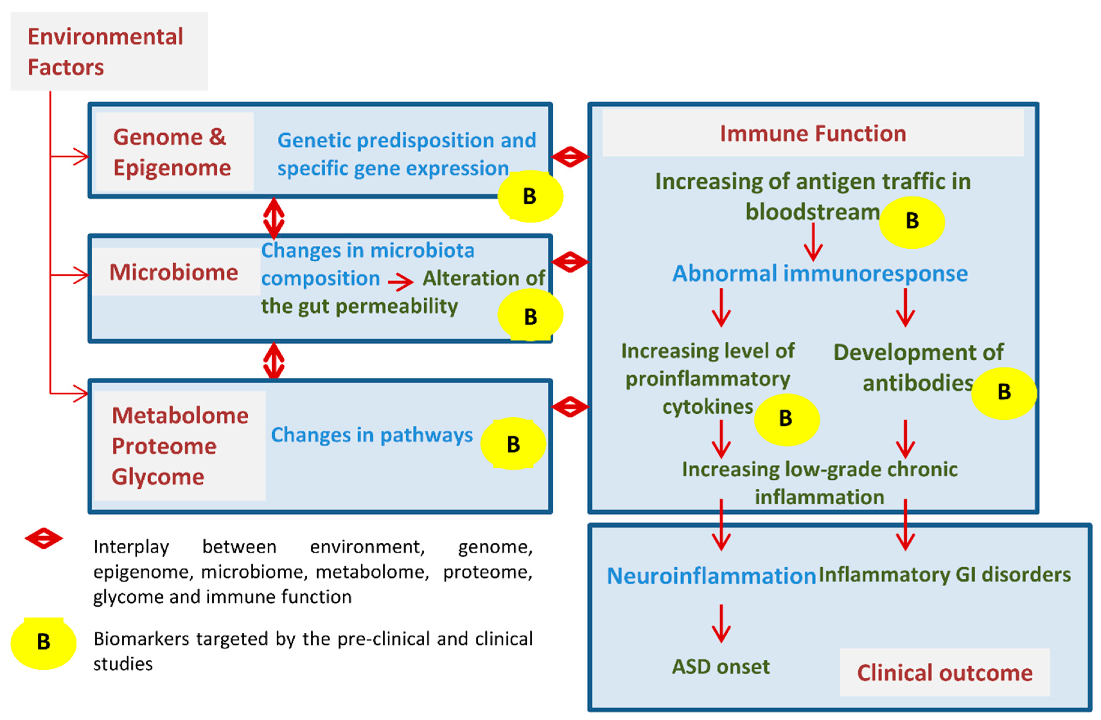 Brainsci 10 00743 g001