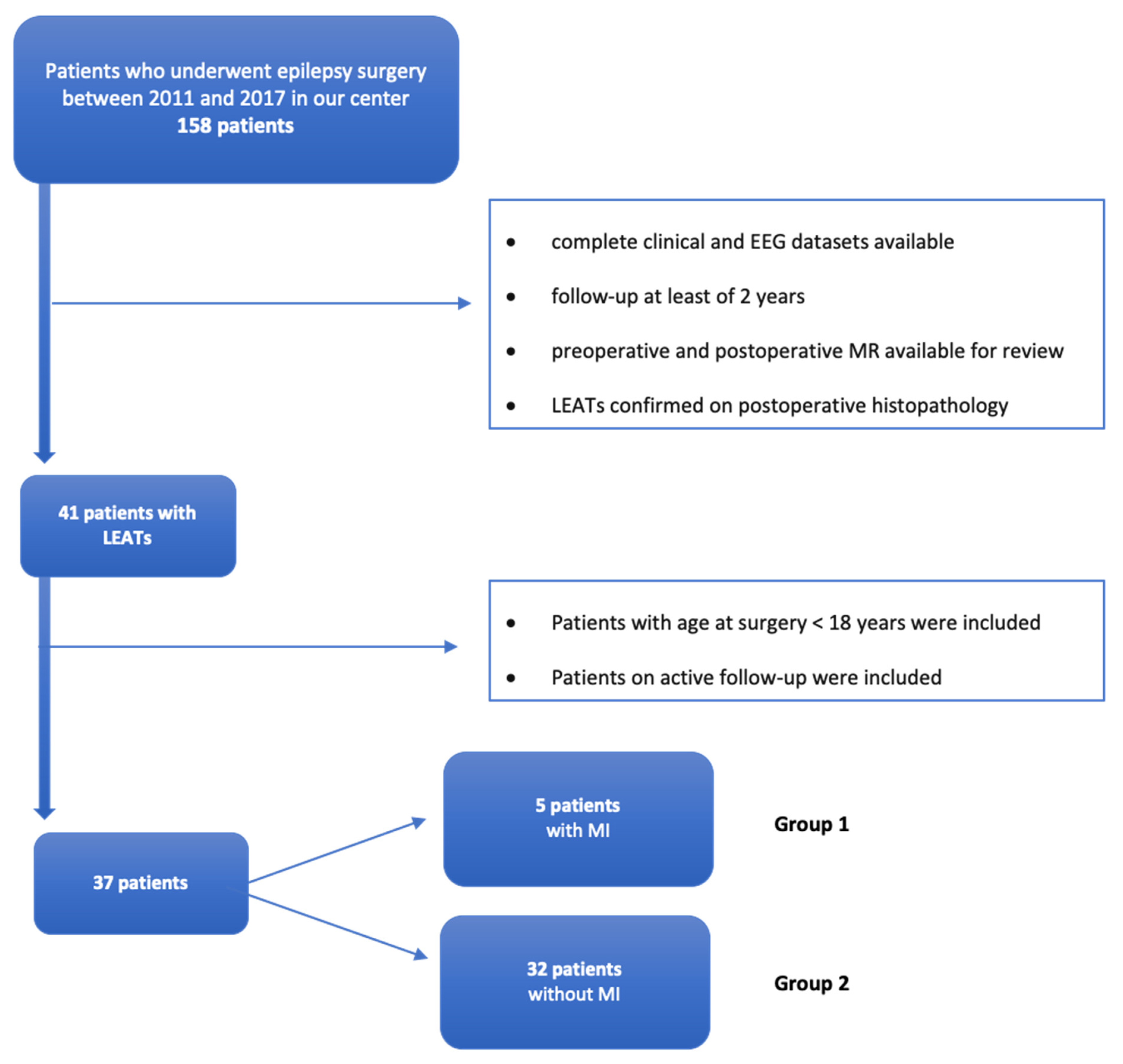 Brainsci 10 00752 g001