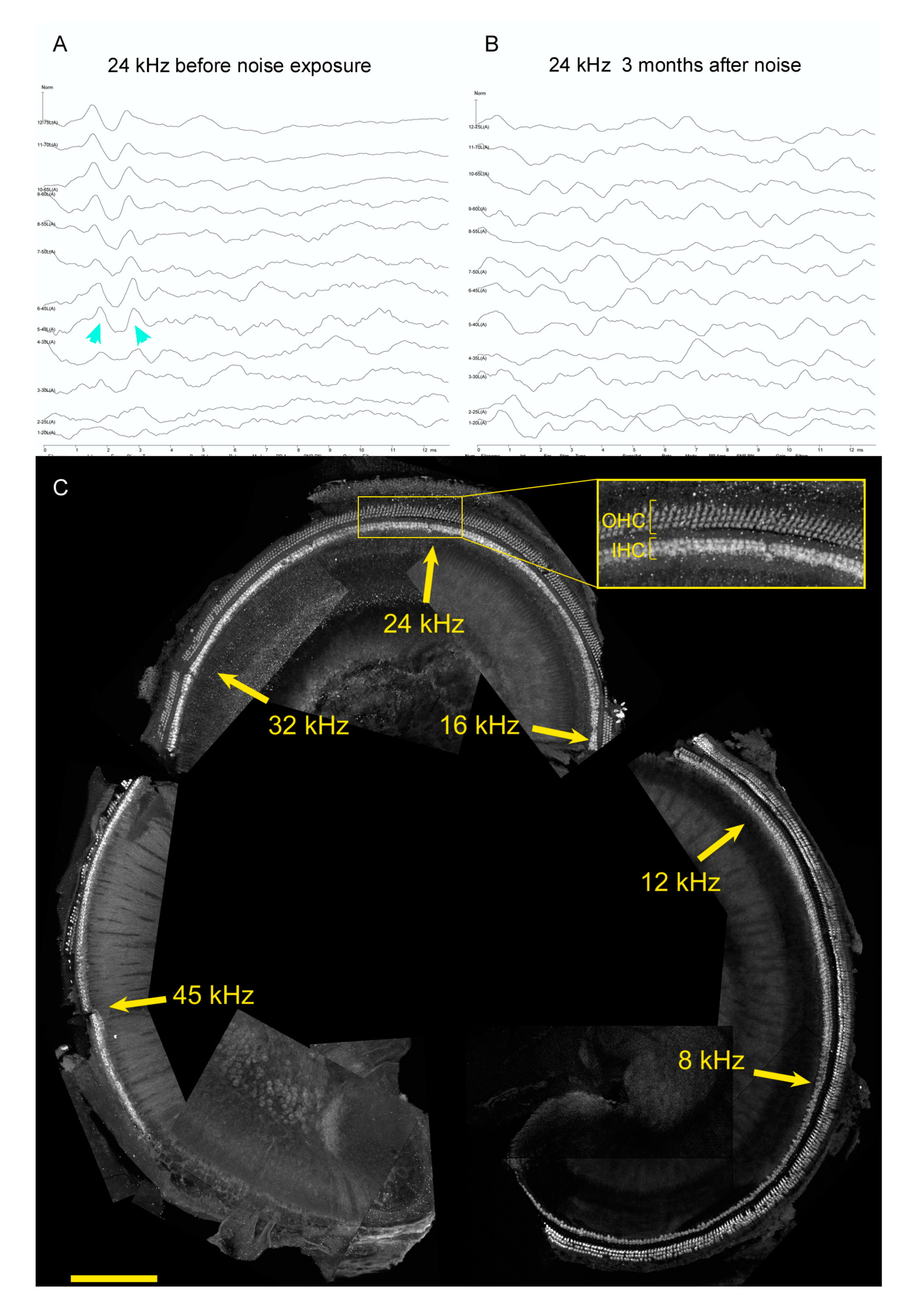 Brainsci 10 00756 g003