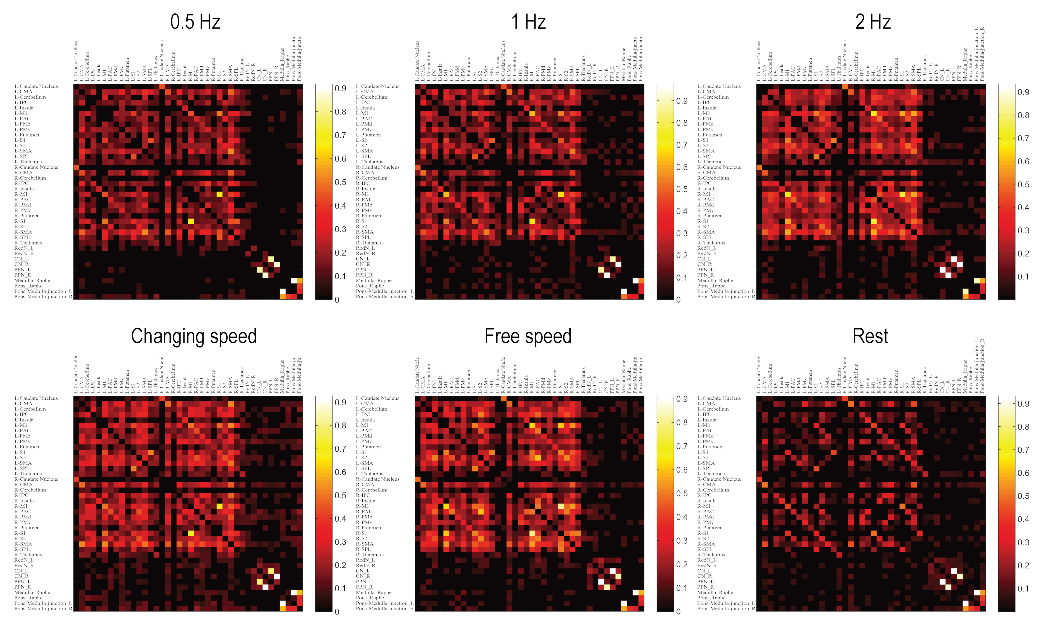 Brainsci 10 00757 g003