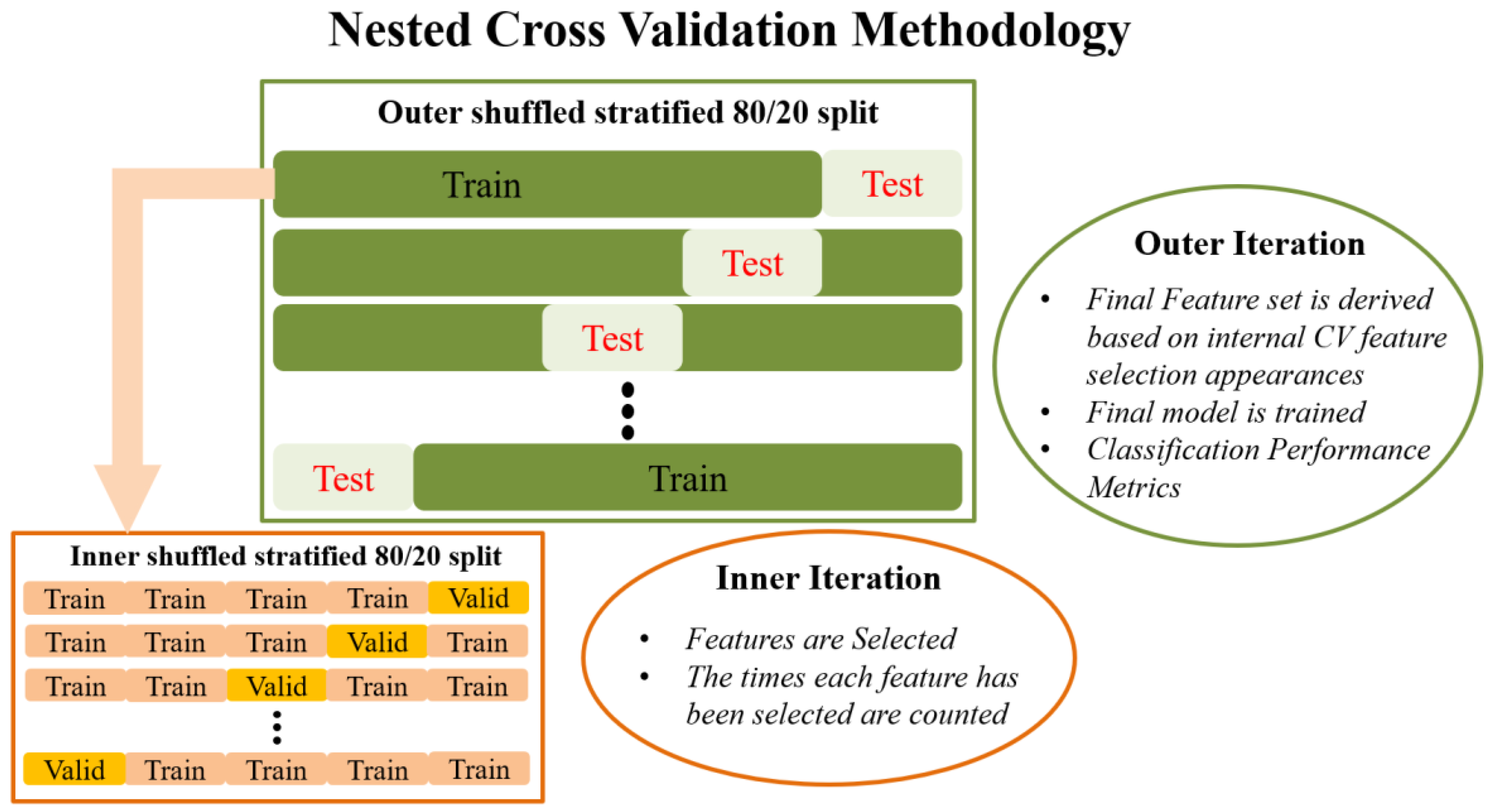 Static Reports for Cross-Functional Data Analysis - 8020