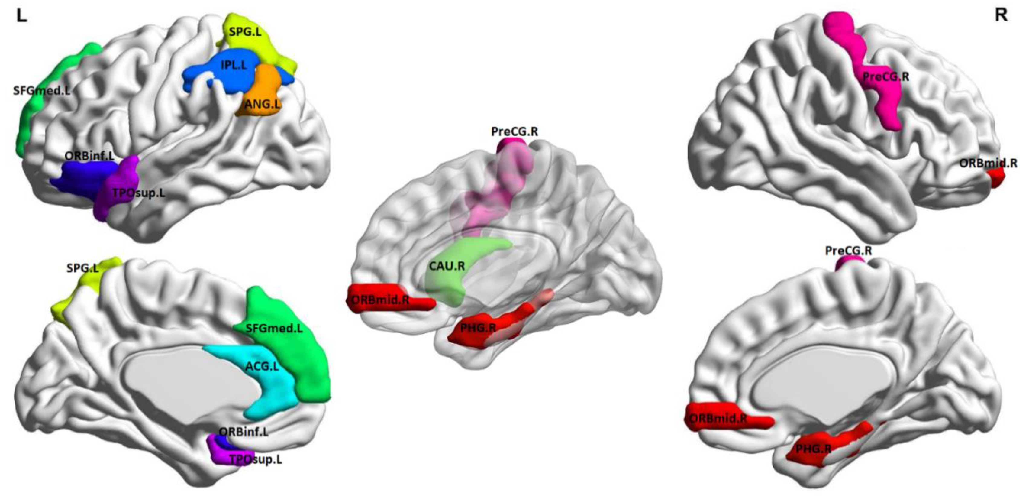 Brainsci 10 00777 g003