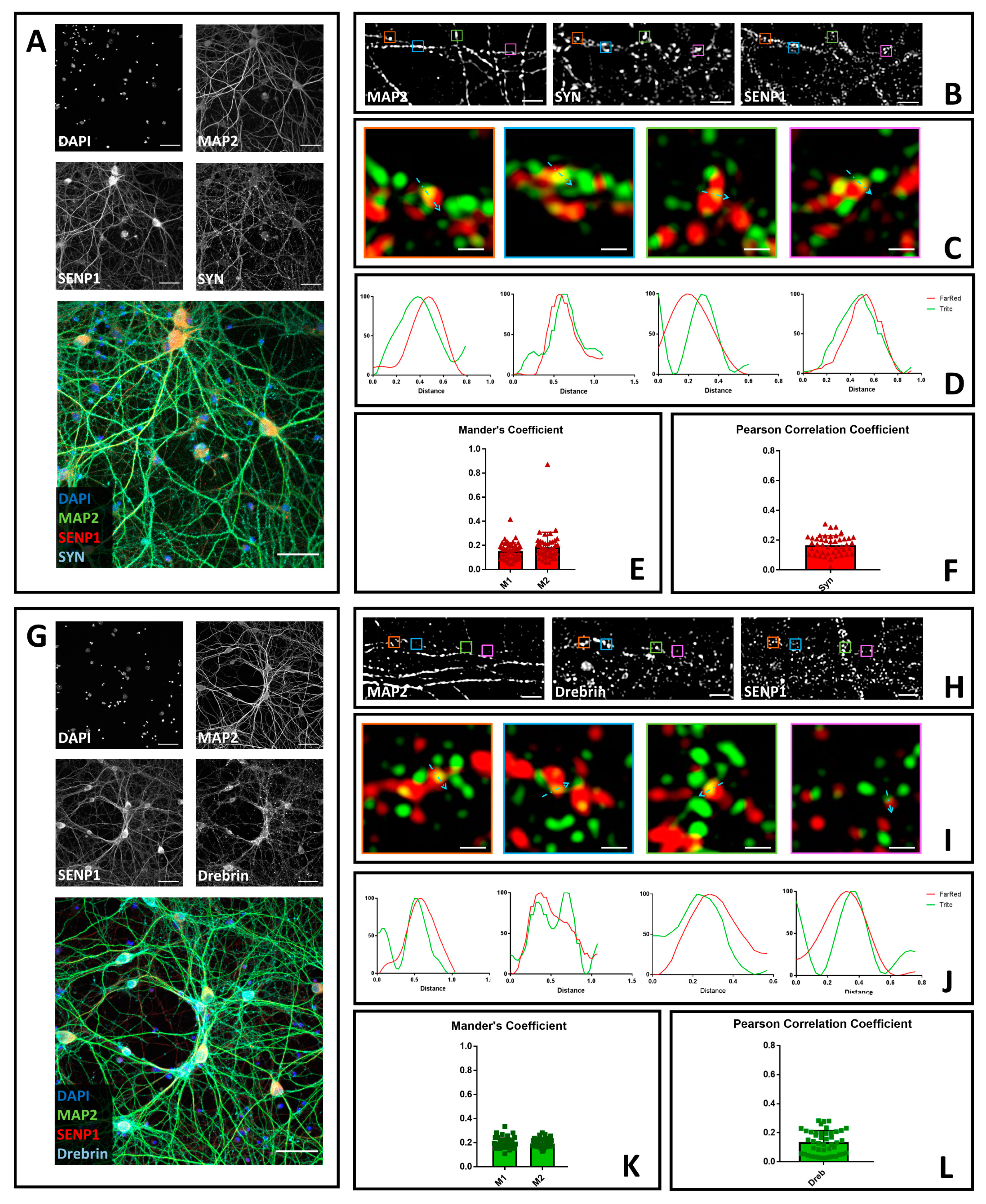 Brainsci 10 00778 g001 Brainsci 10 00778 g001