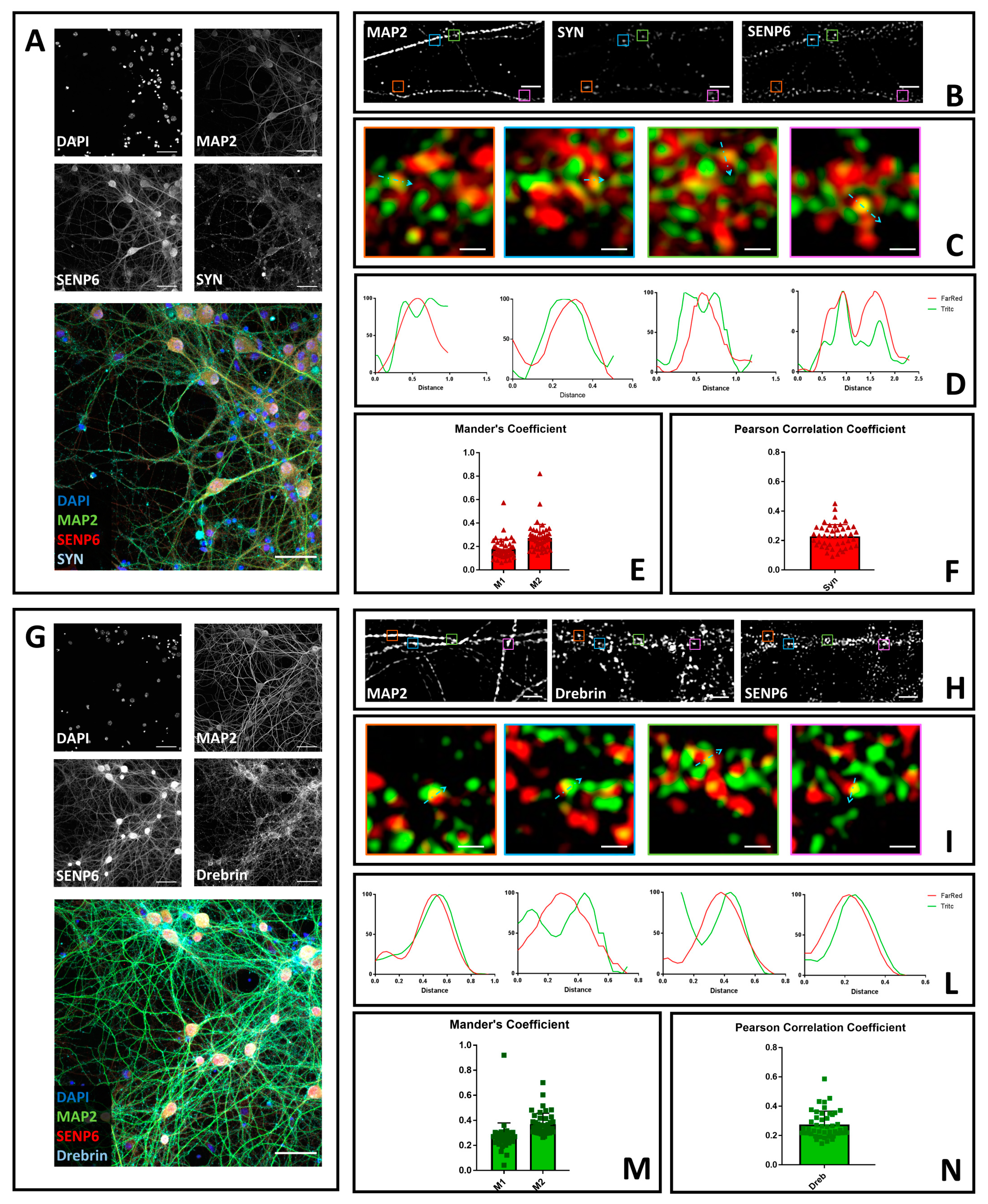 Brainsci 10 00778 g002 Brainsci 10 00778 g002