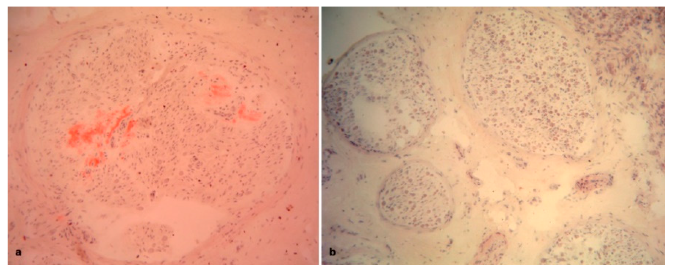 Brainsci 10 00780 g005 Brainsci 10 00780 g005