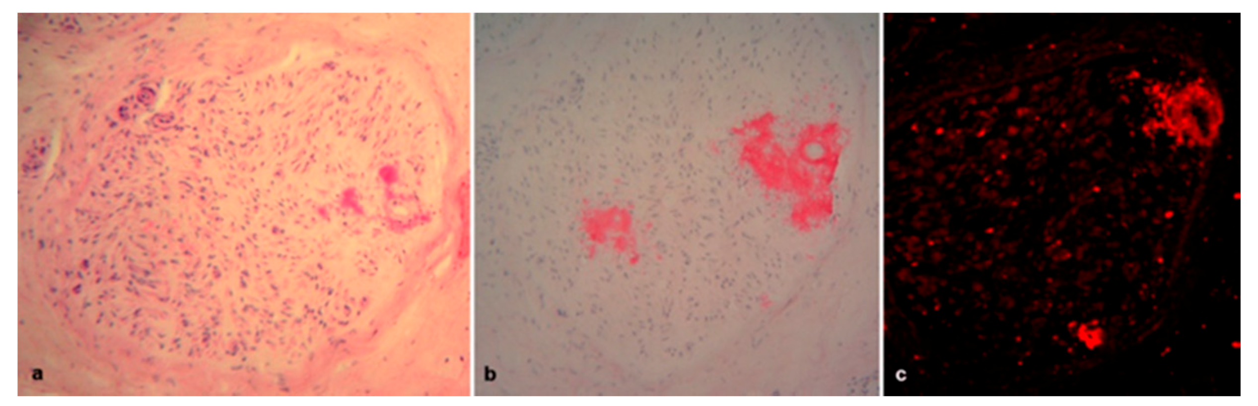 Brainsci 10 00780 g006 Brainsci 10 00780 g006
