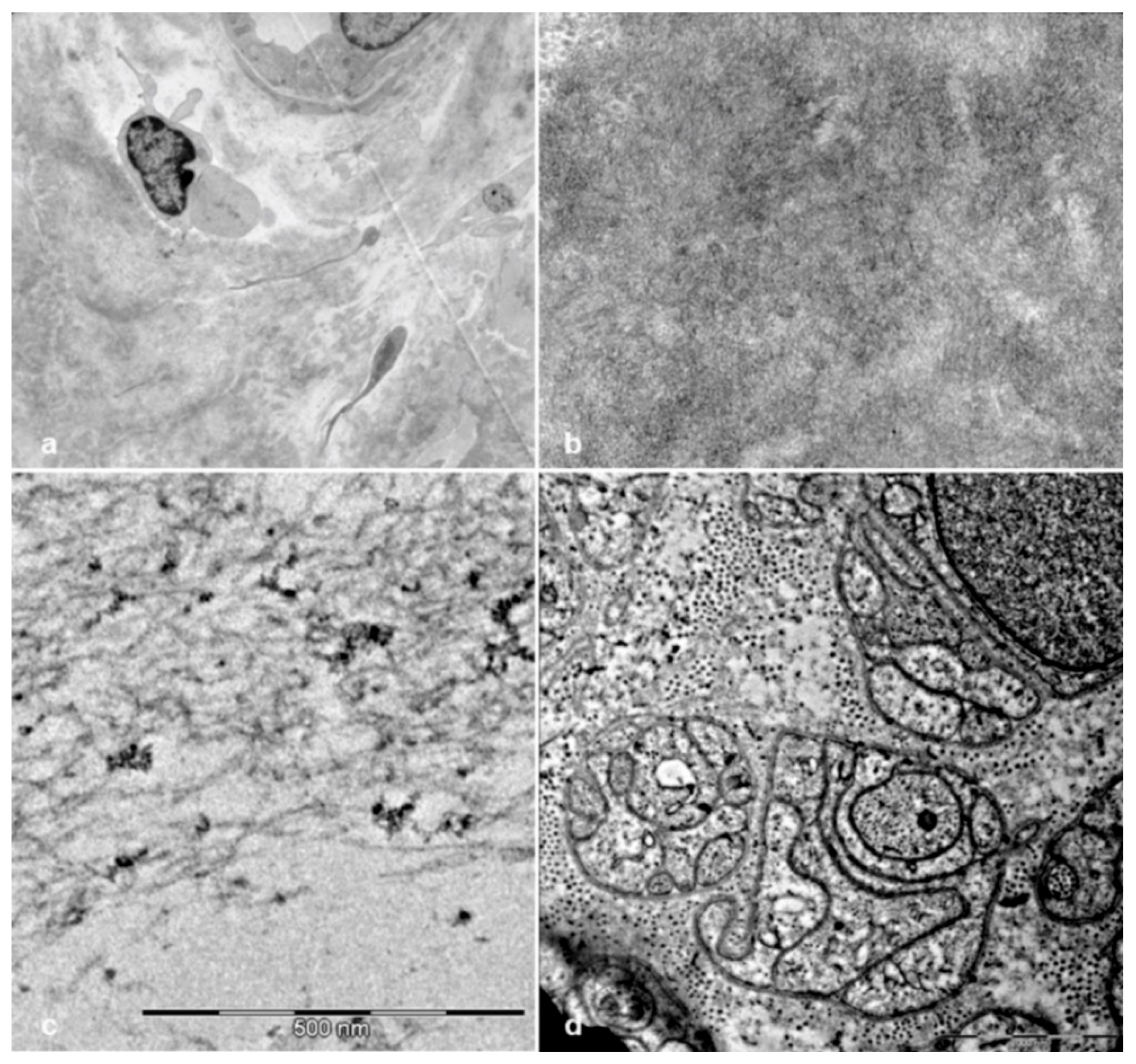 Brainsci 10 00780 g008 Brainsci 10 00780 g008