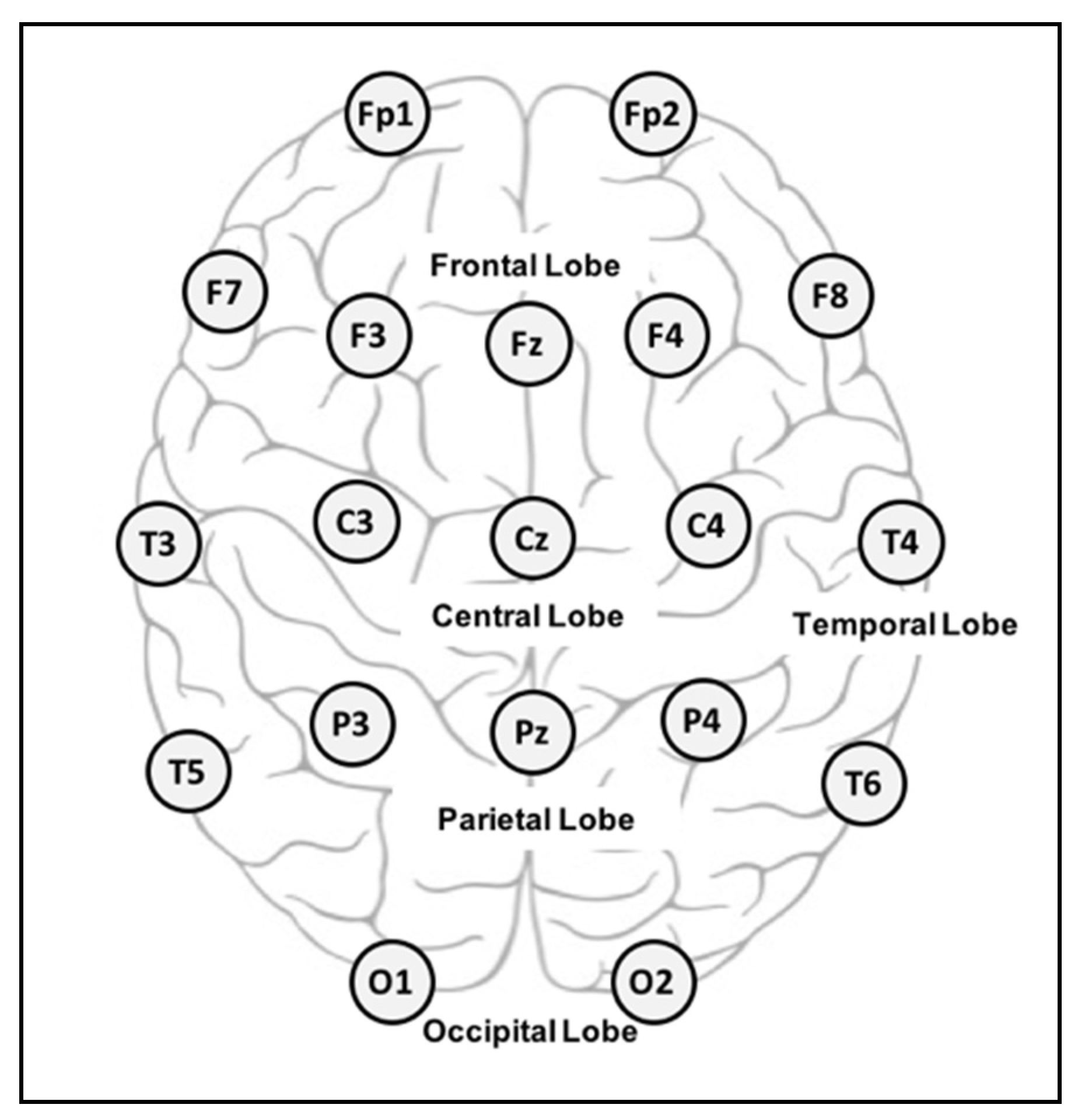 Brainsci 10 00781 g002 Brainsci 10 00781 g002