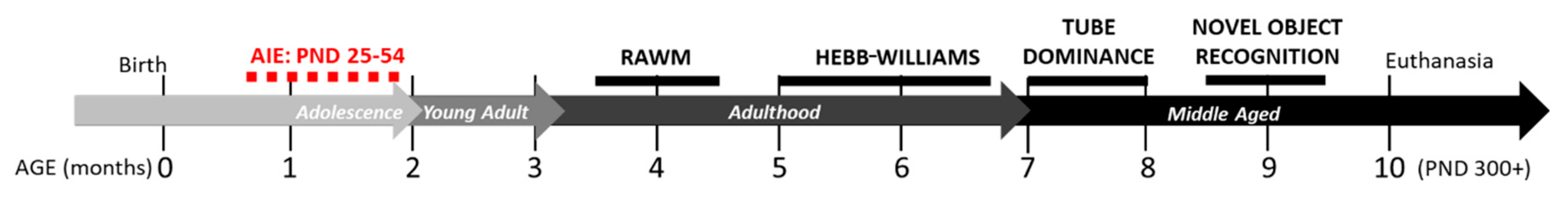 Brainsci 10 00785 g001 Brainsci 10 00785 g001