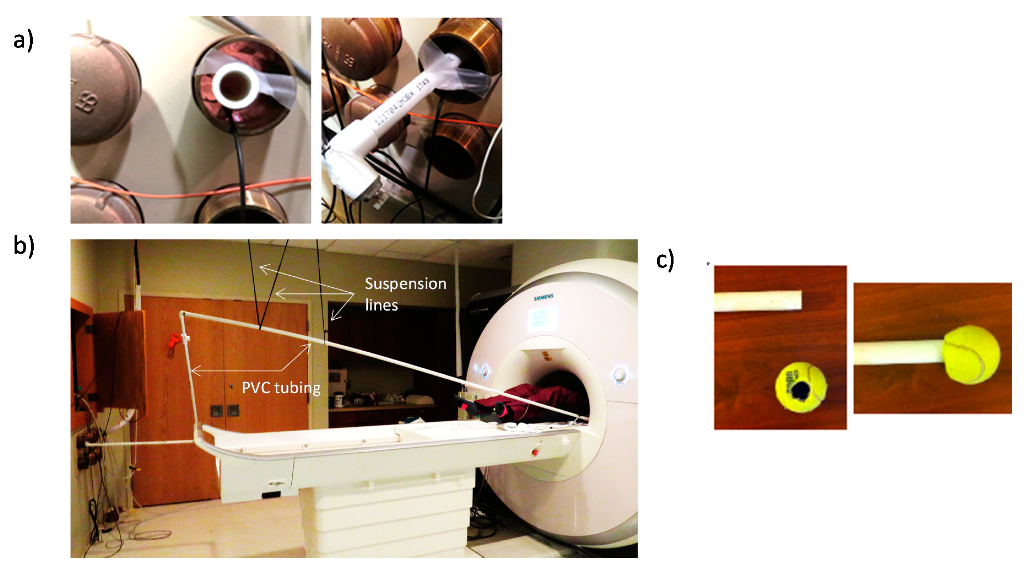 Brainsci 10 00790 g003