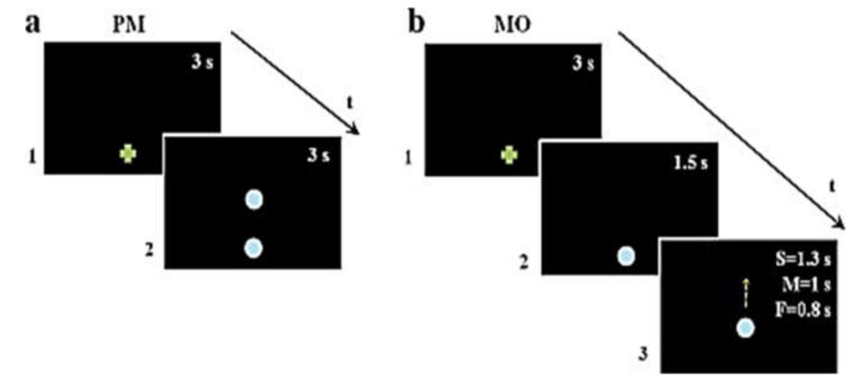 Brainsci 10 00792 g001