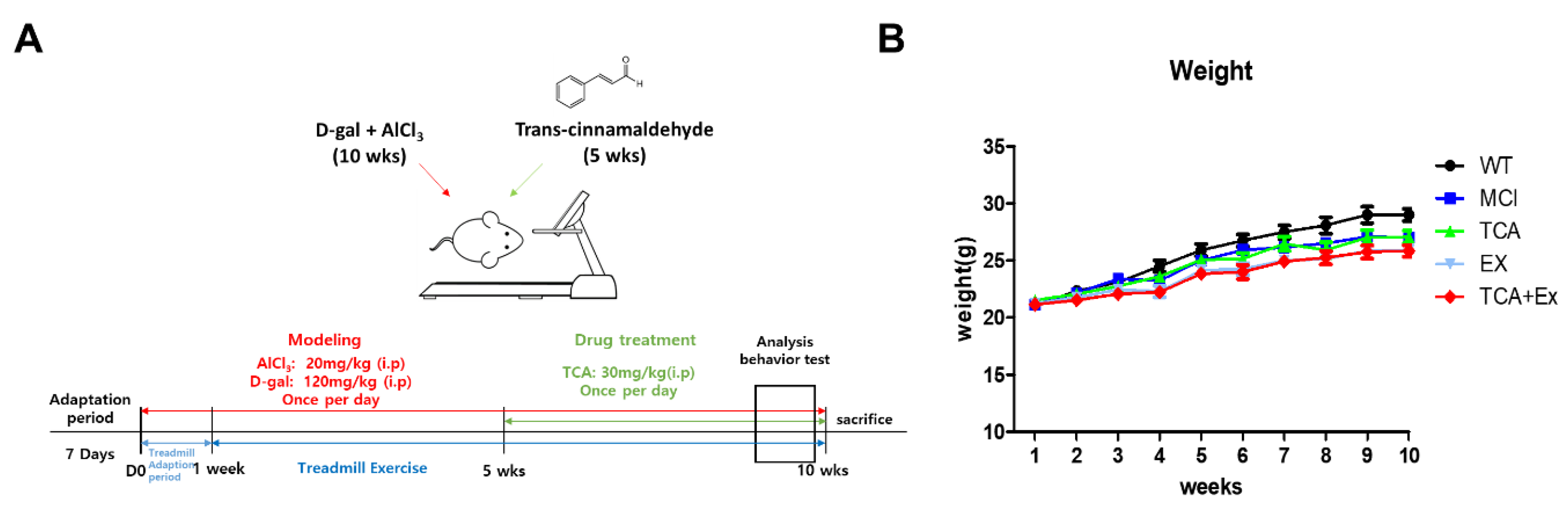 Brainsci 10 00793 g001 Brainsci 10 00793 g001
