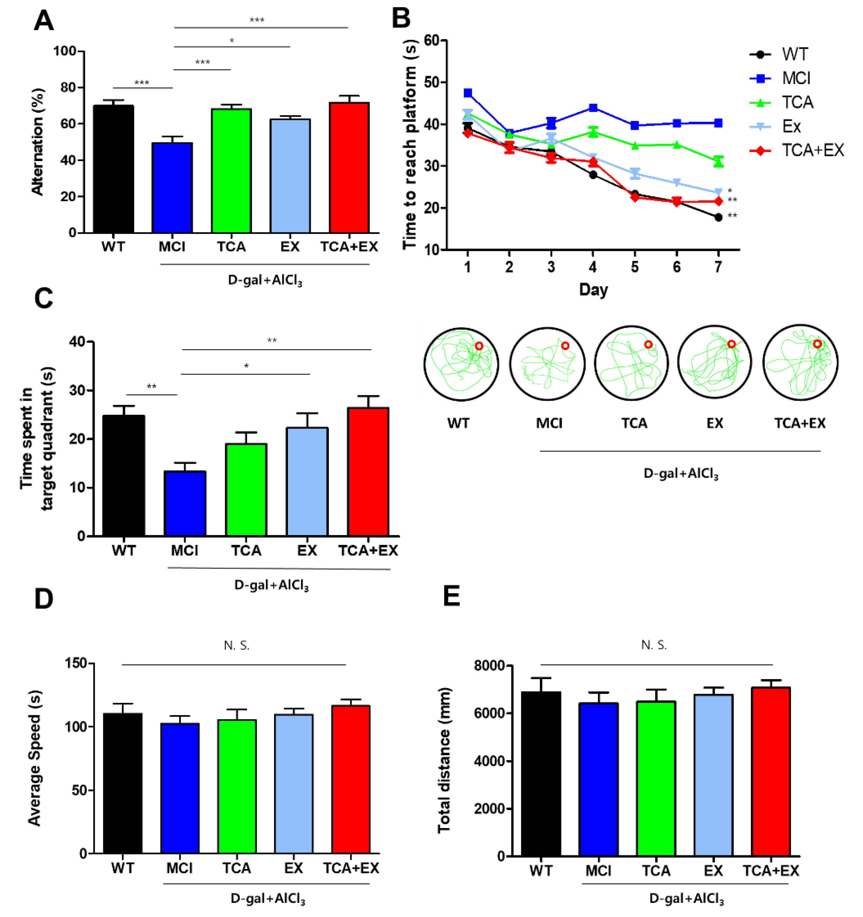 Brainsci 10 00793 g002 Brainsci 10 00793 g002
