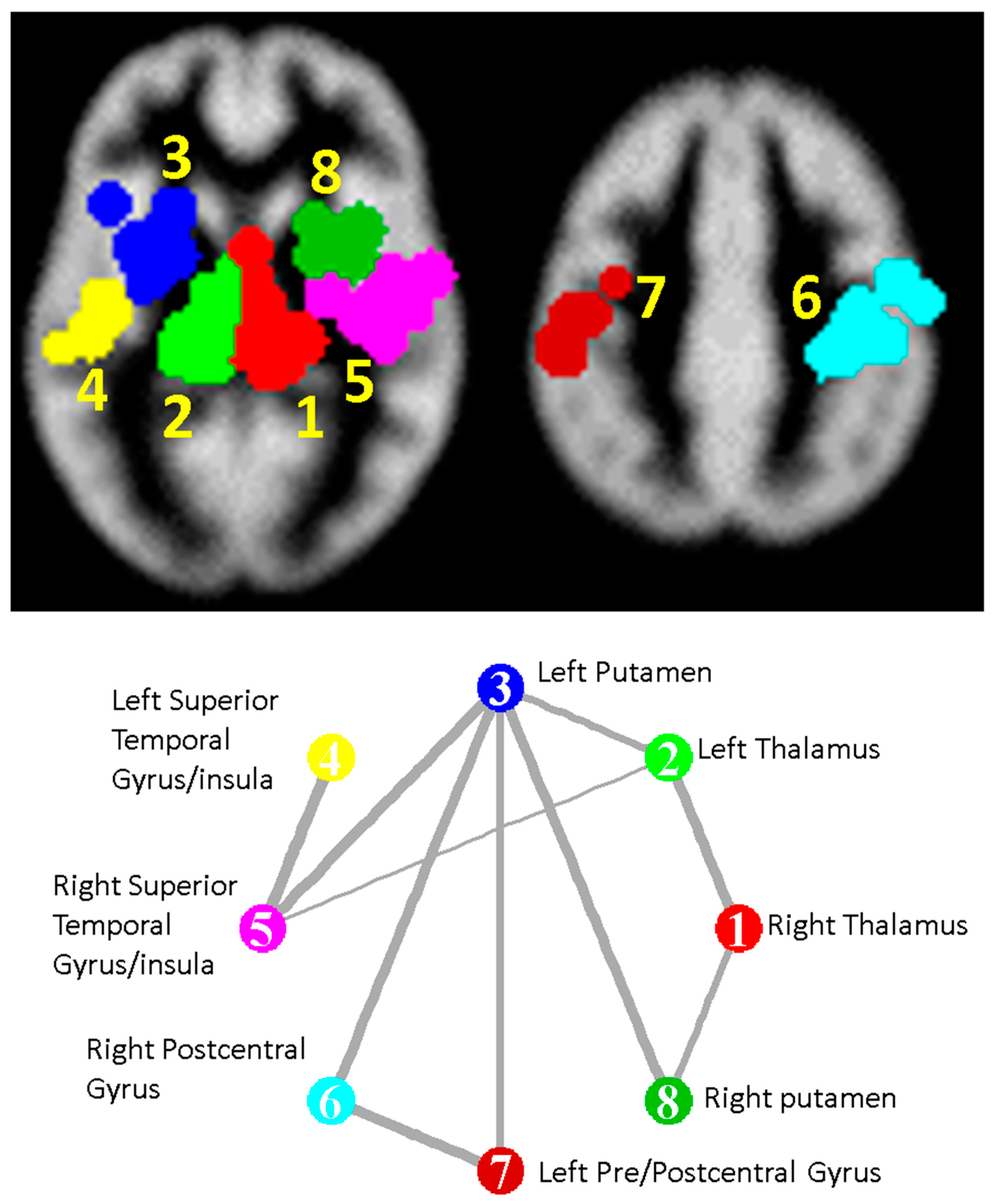 Brainsci 10 00798 g002