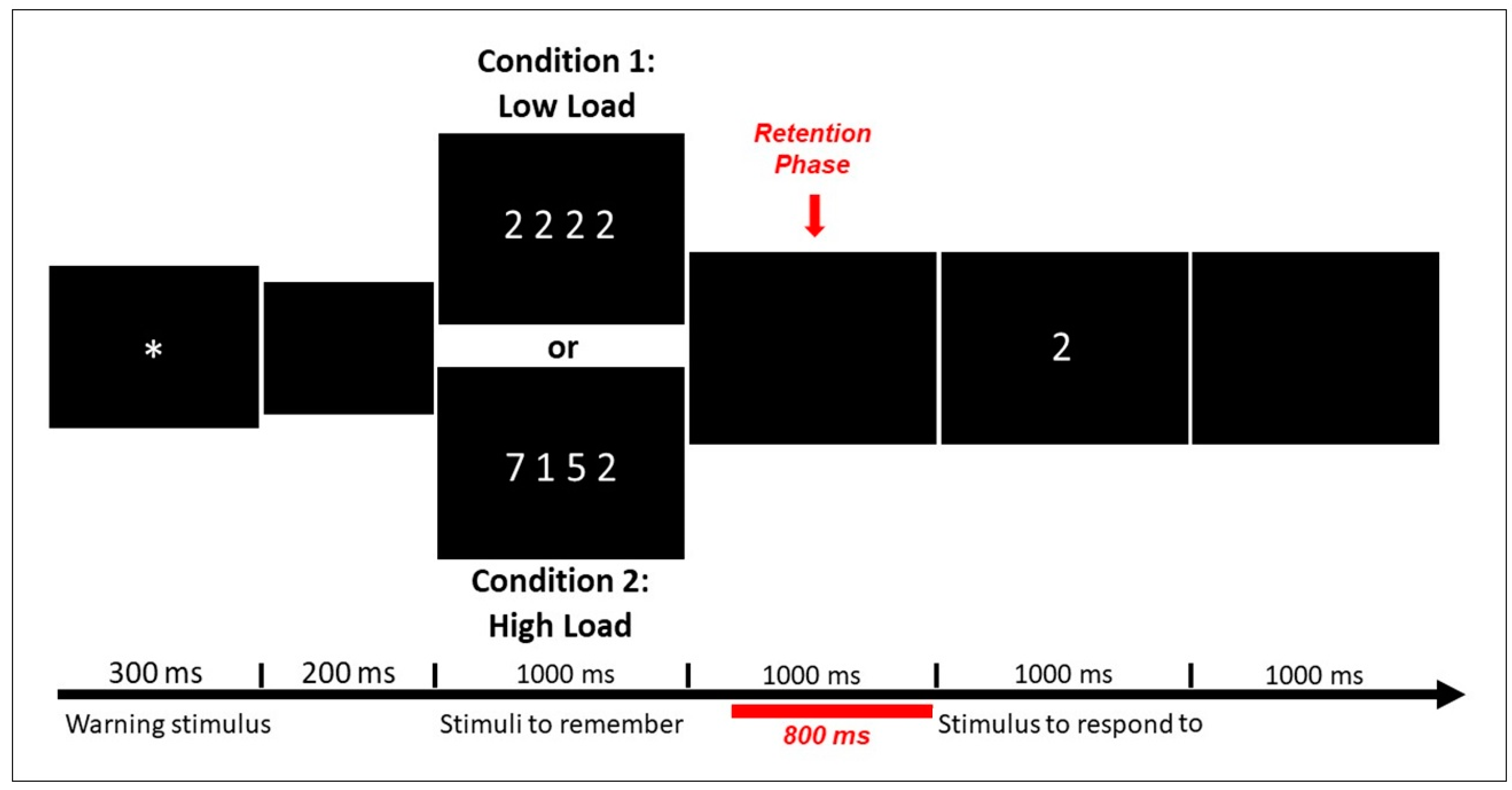 Brainsci 10 00817 g002
