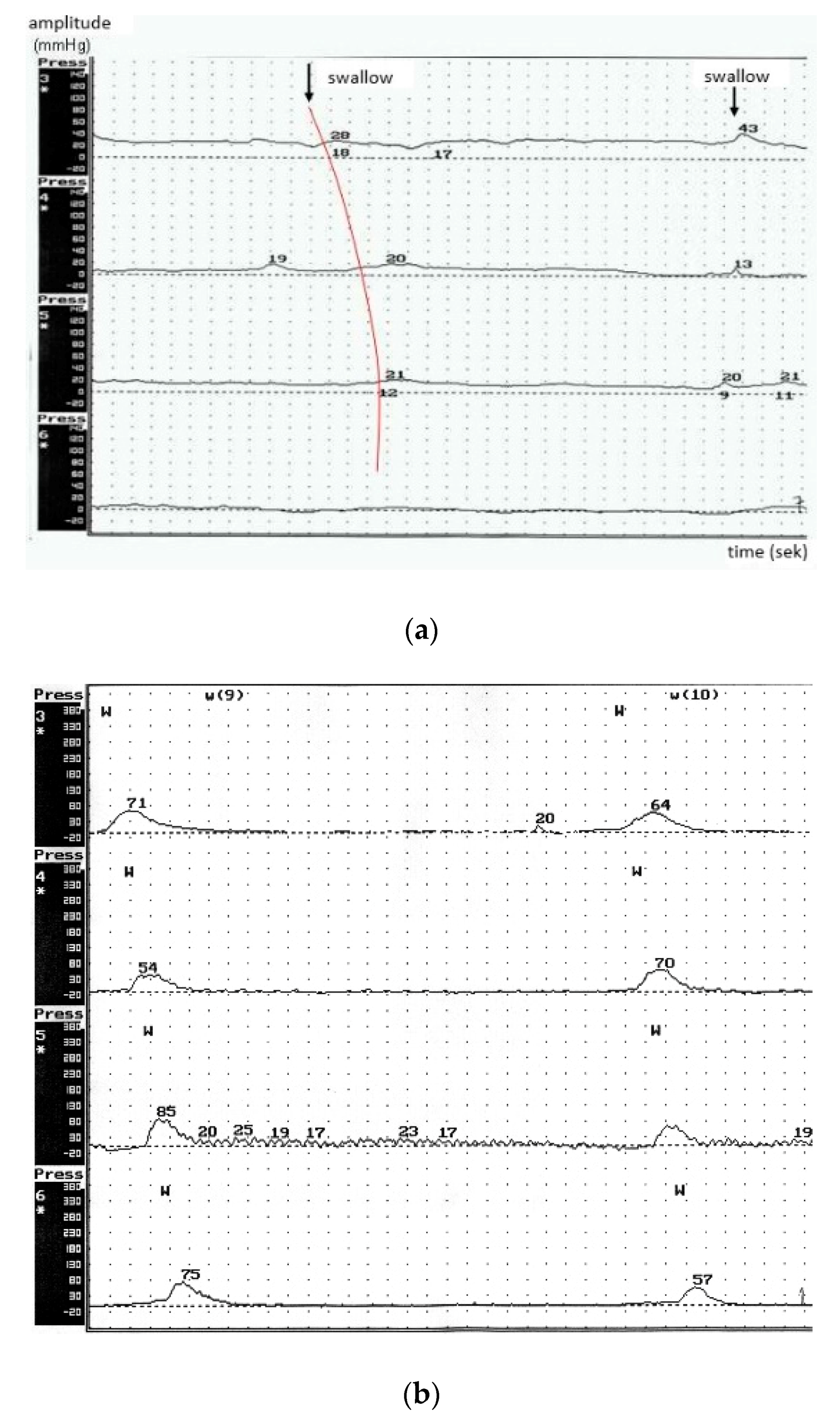 Brainsci 10 00820 g001