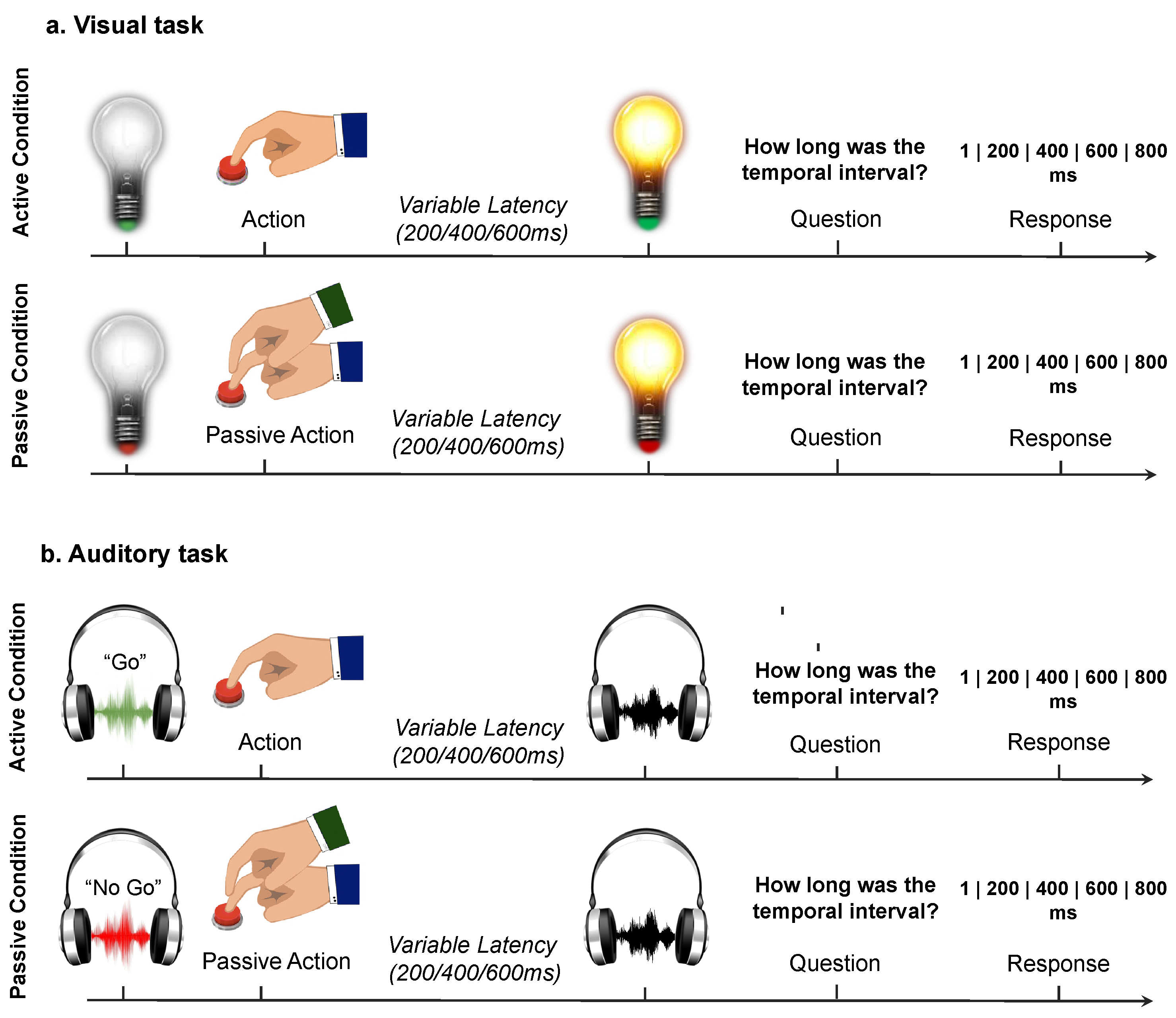 Brainsci 10 00825 g001