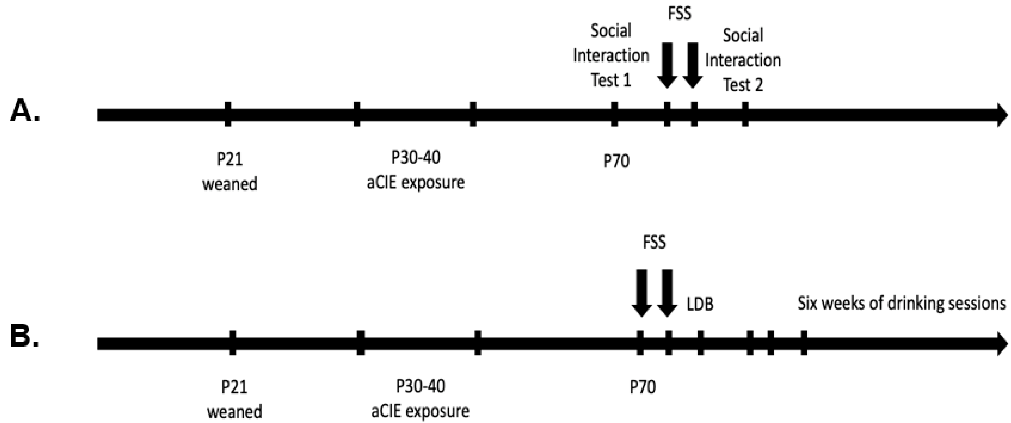 Brainsci 10 00829 g001