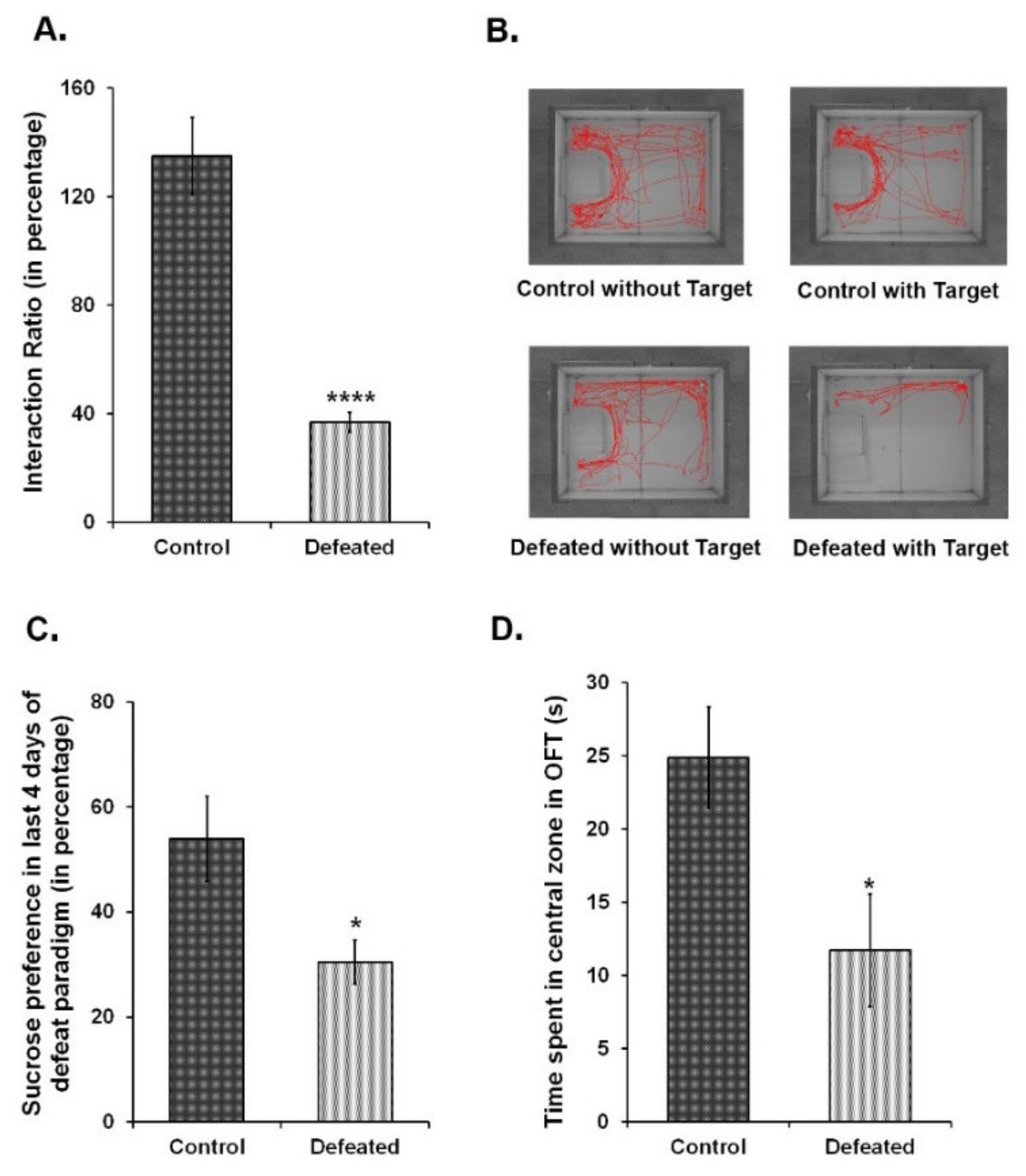 Brainsci 10 00833 g001 Brainsci 10 00833 g001
