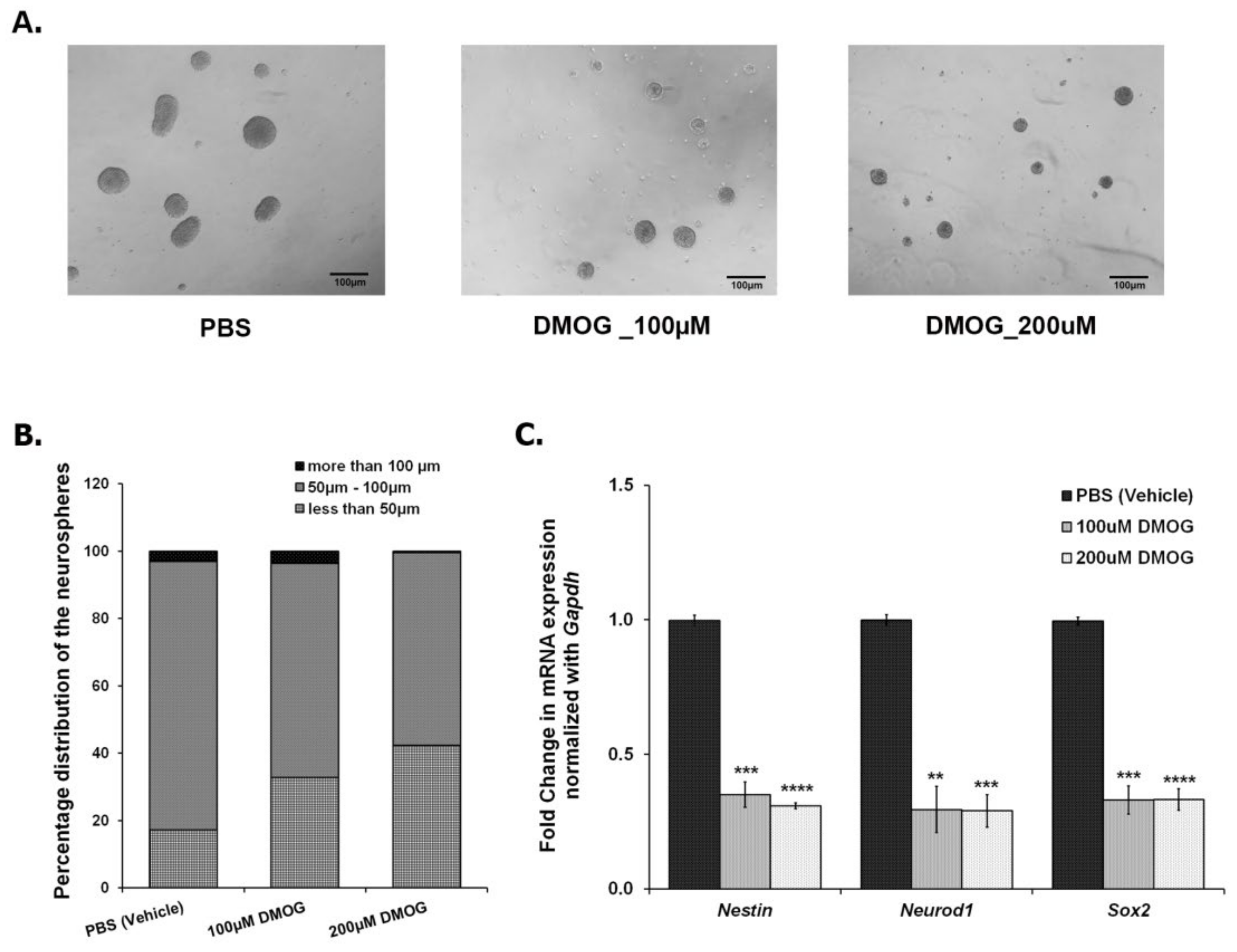 Brainsci 10 00833 g004 Brainsci 10 00833 g004