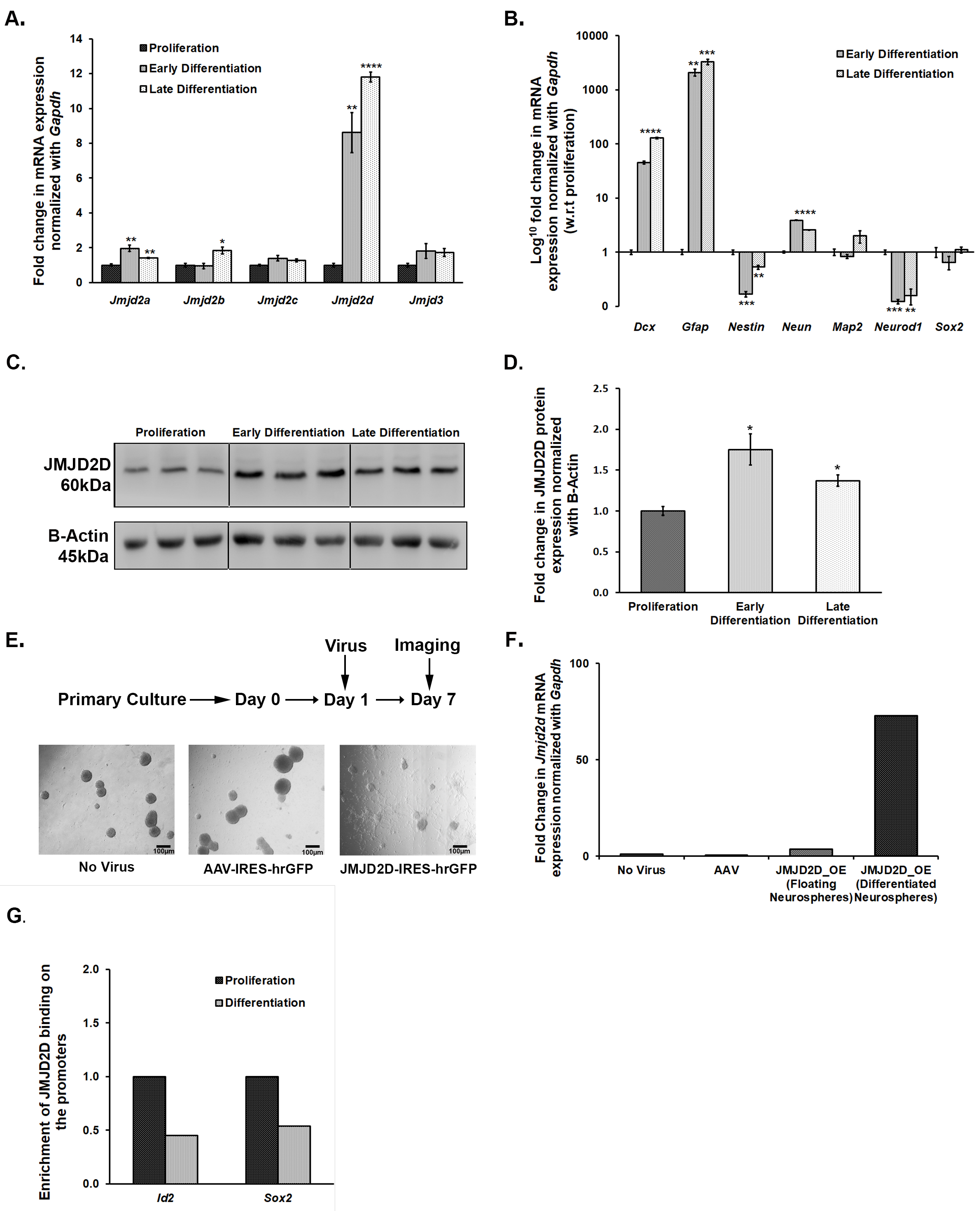 Brainsci 10 00833 g005 Brainsci 10 00833 g005