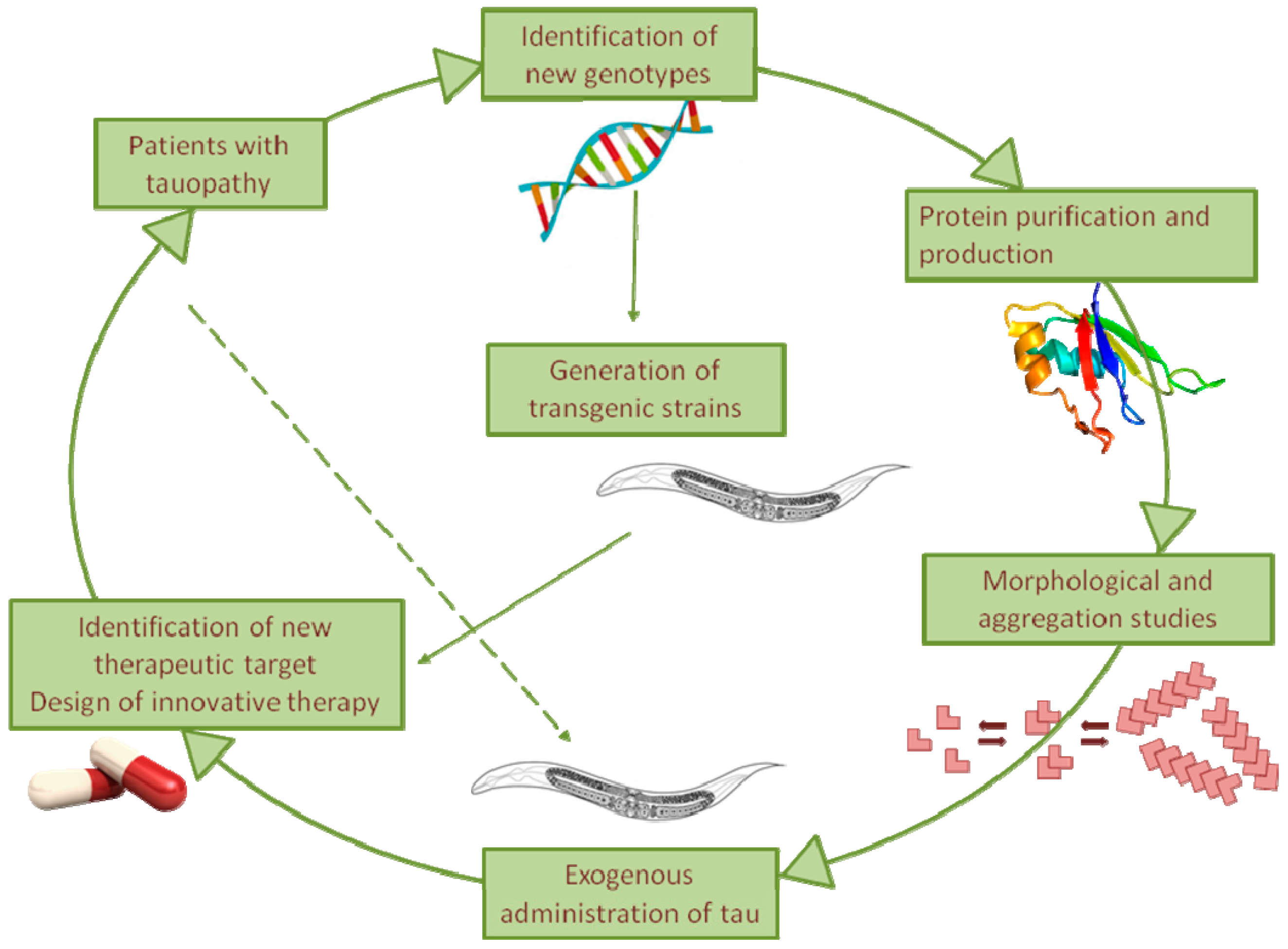 Brainsci 10 00838 g002 Brainsci 10 00838 g002