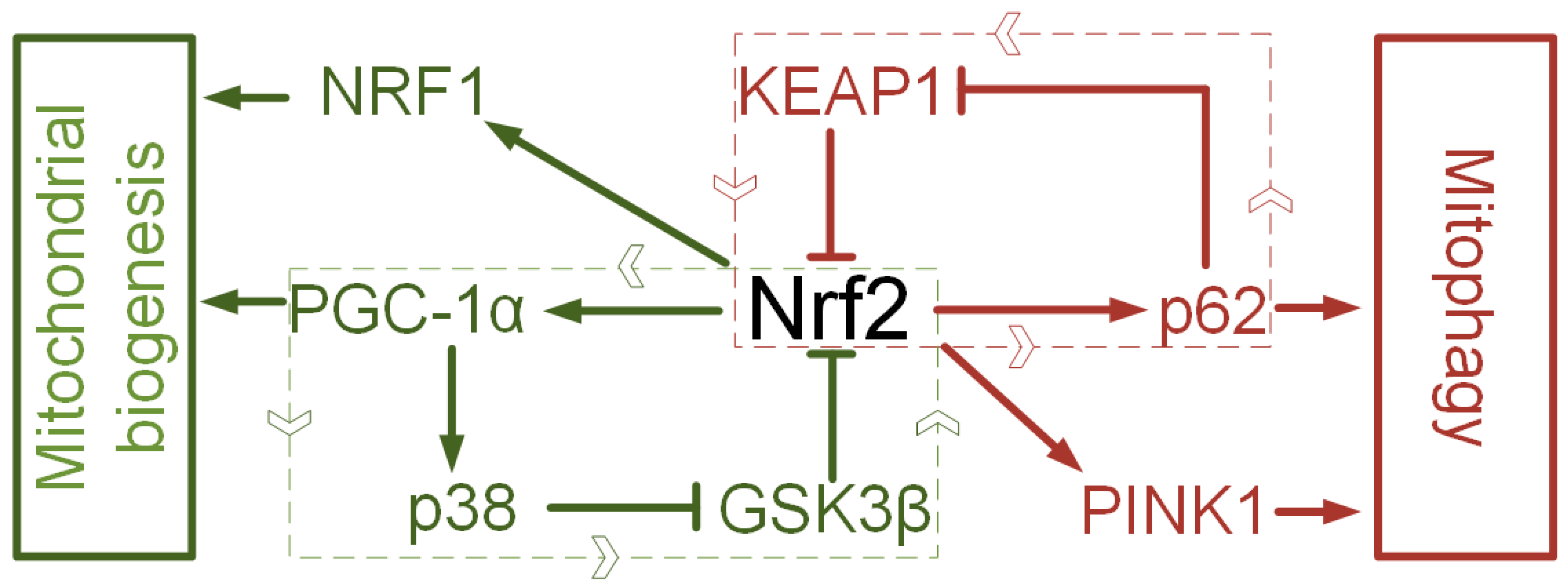 Brainsci 10 00847 g002 Brainsci 10 00847 g002