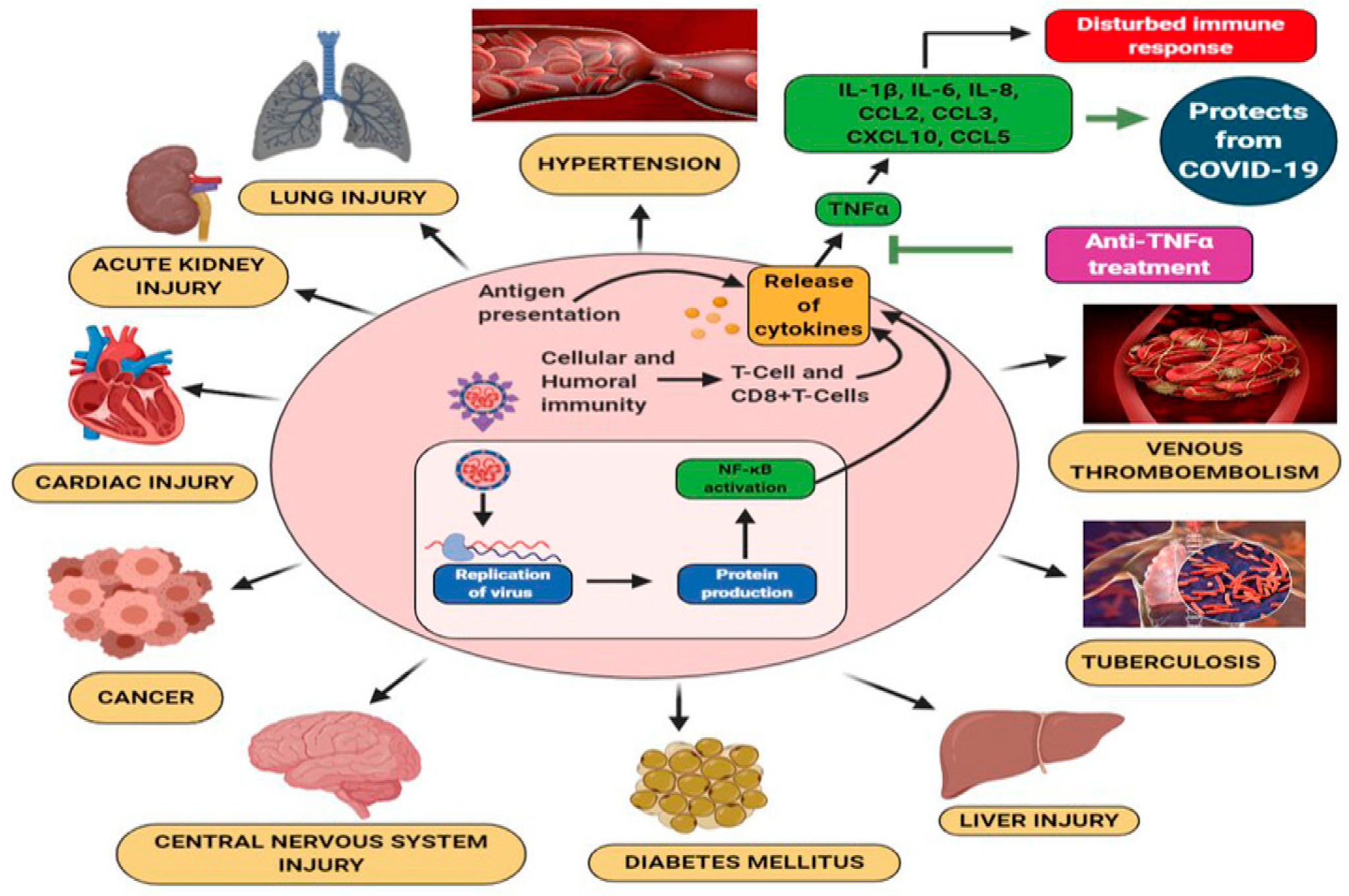 Brainsci 10 00852 g002