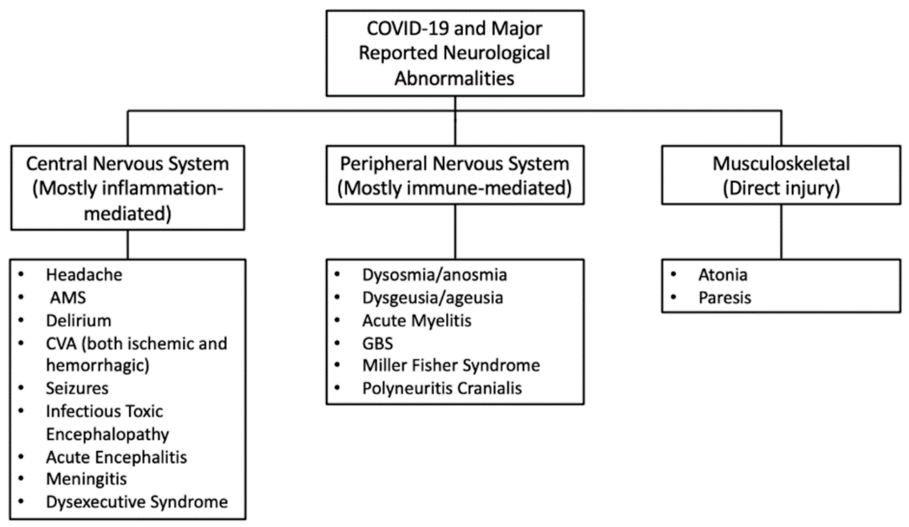 Brainsci 10 00852 g006