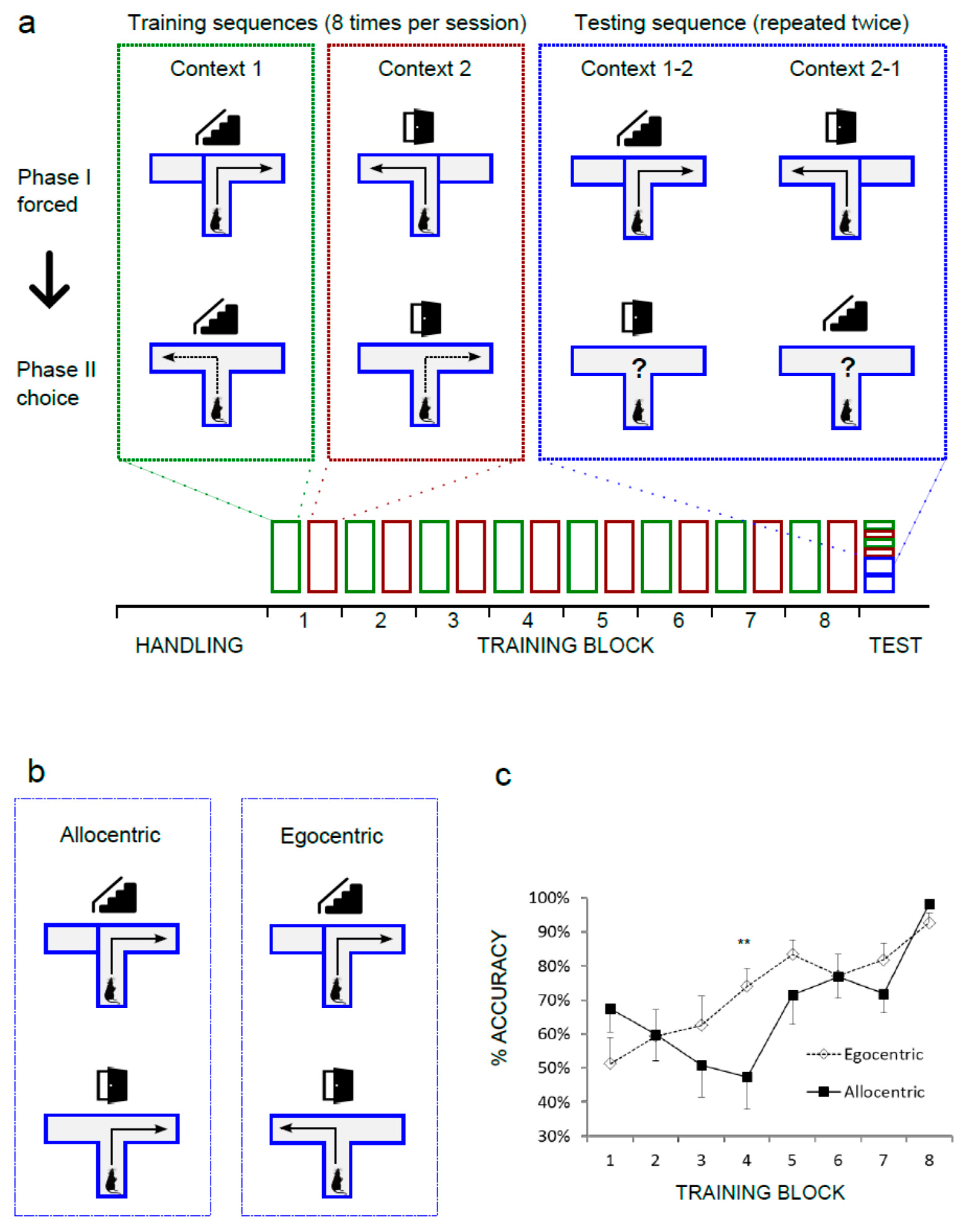 Brainsci 10 00854 g001 Brainsci 10 00854 g001