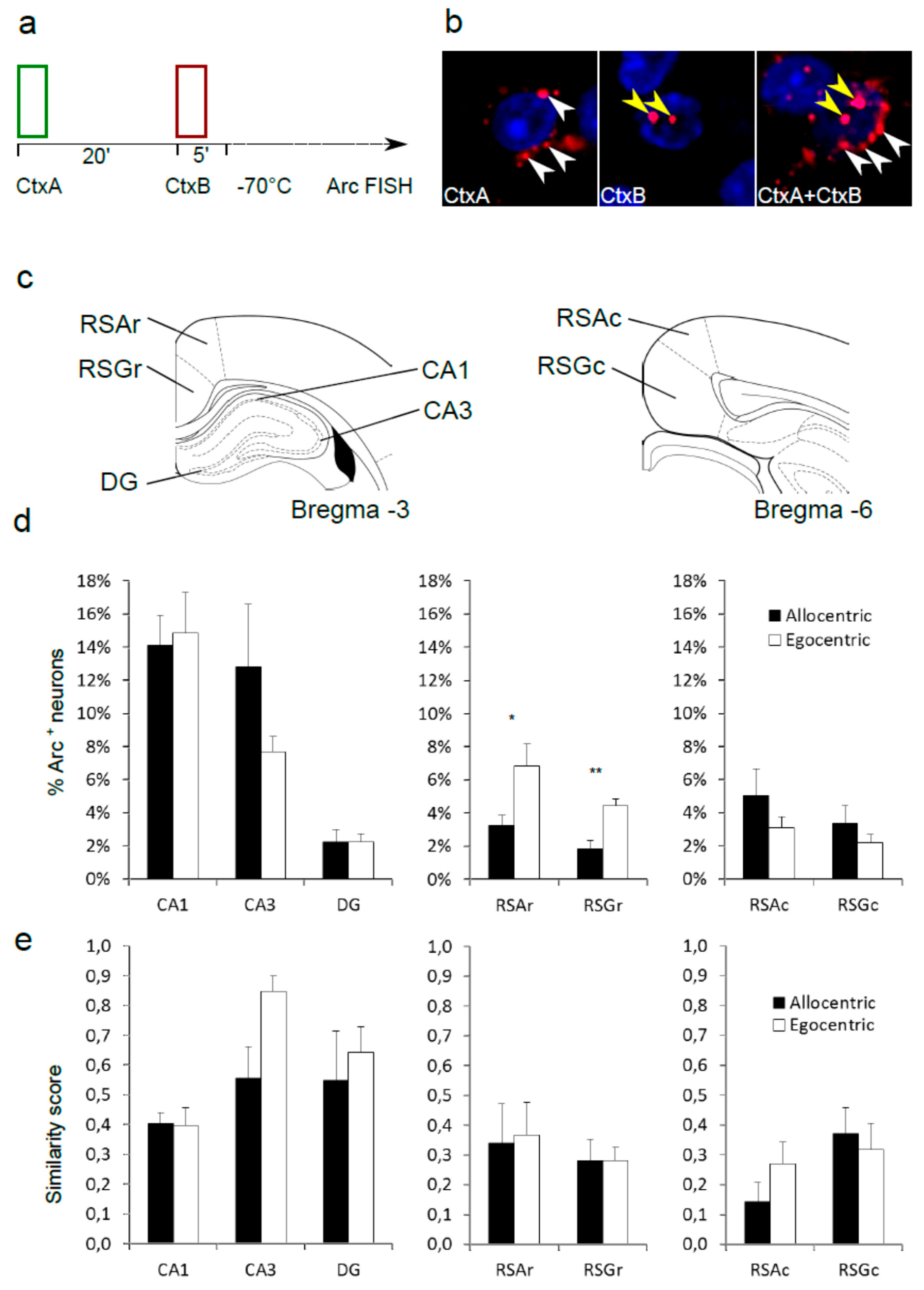 Brainsci 10 00854 g002 Brainsci 10 00854 g002