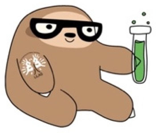 Brainsci 10 00863 g002 Brainsci 10 00863 g002