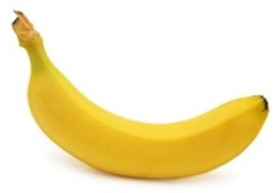 Brainsci 10 00863 g003 Brainsci 10 00863 g003