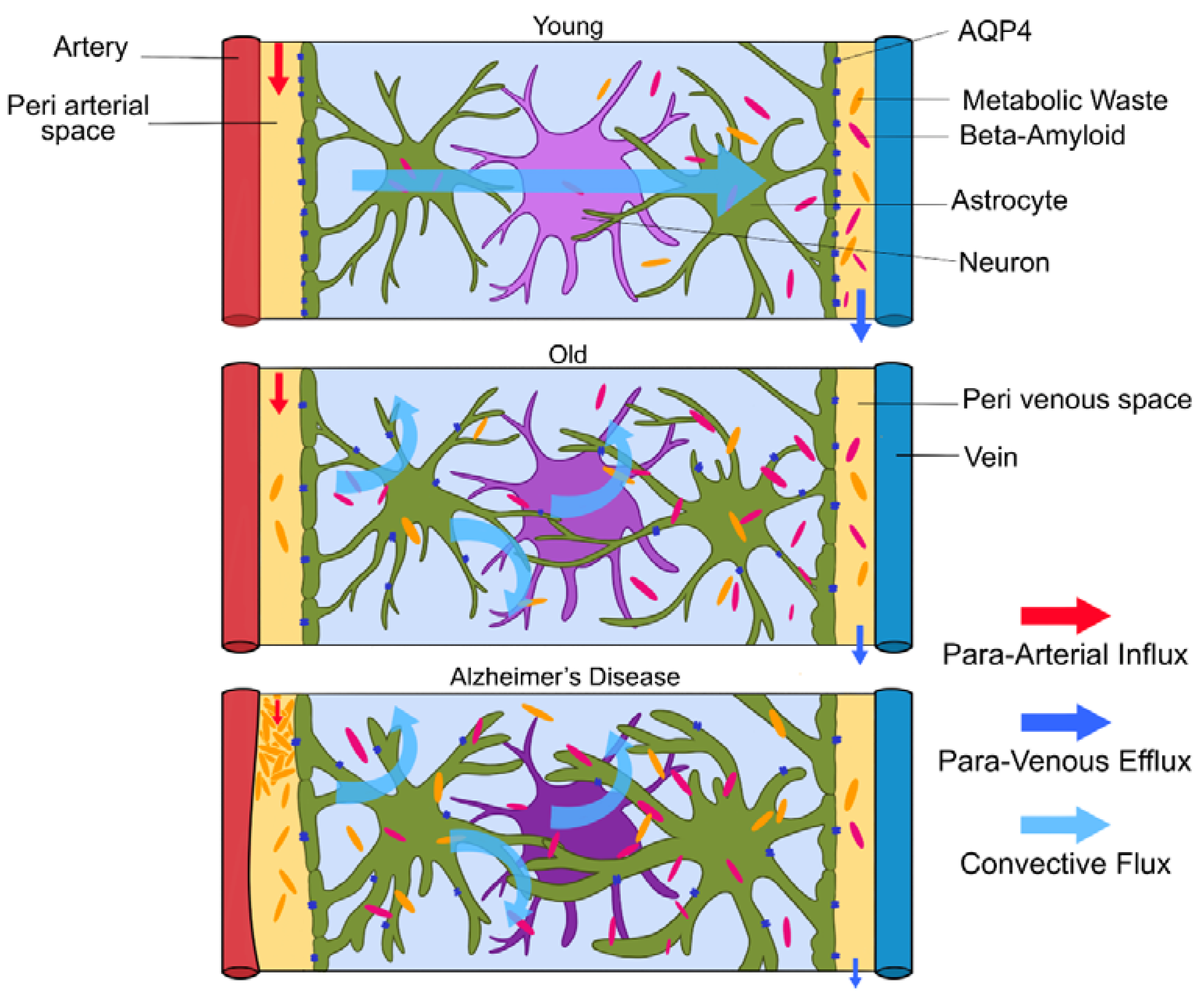 Brainsci 10 00868 g004